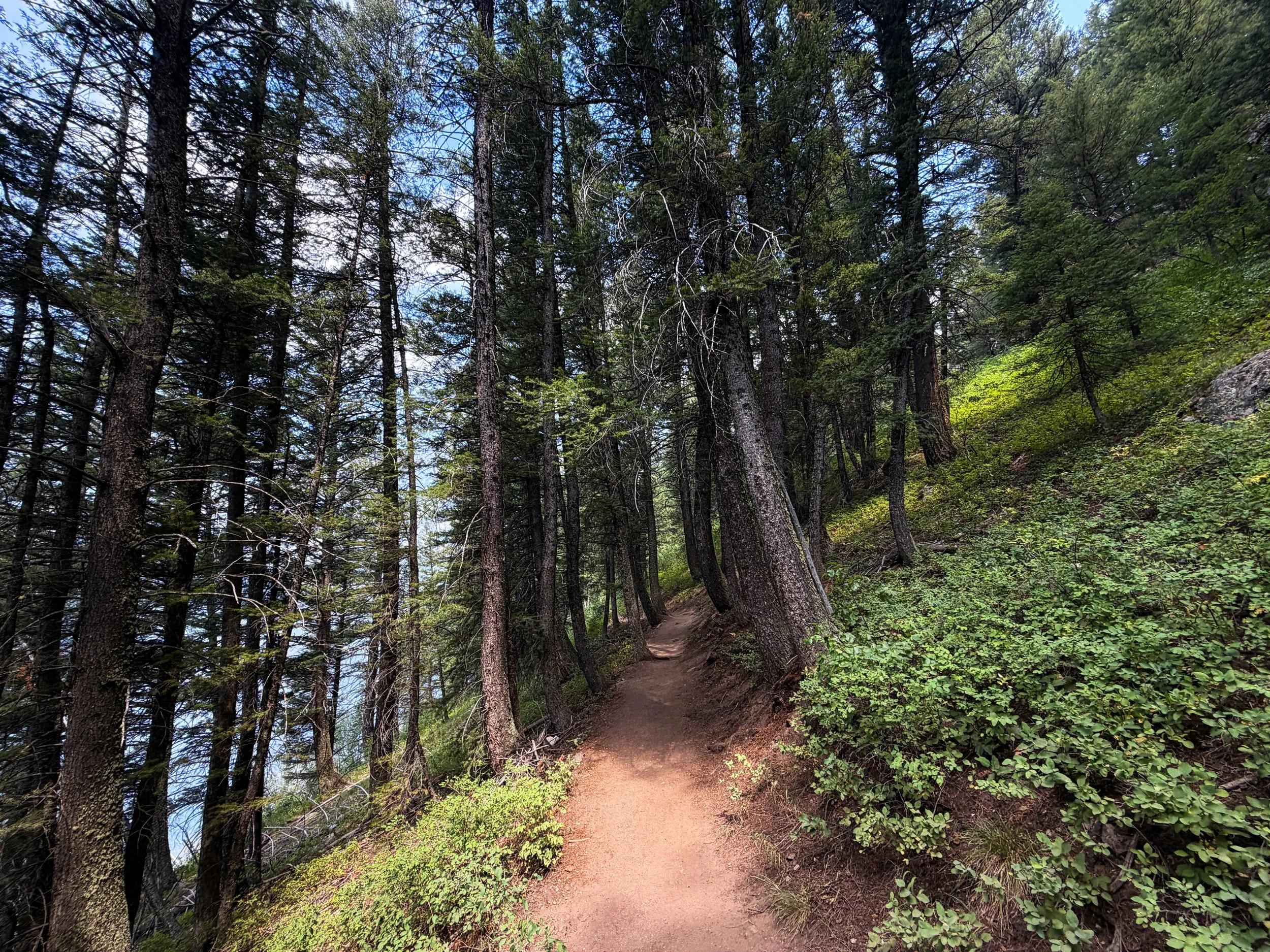 Phelps Lake Trail to Jumping Rock Grand Teton National Park Wyoming