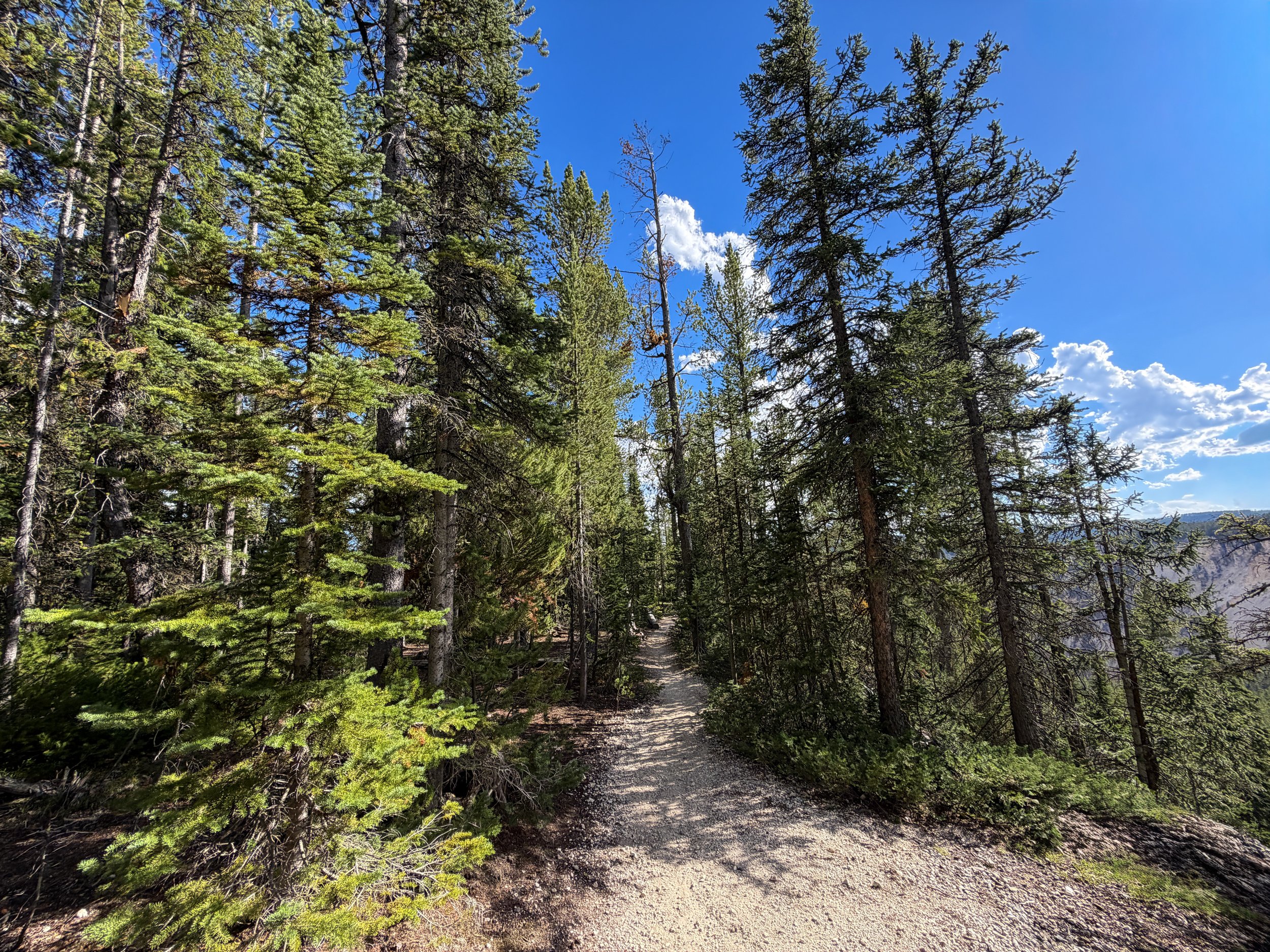 North Rim Trail Yellowstone National Park Wyoming