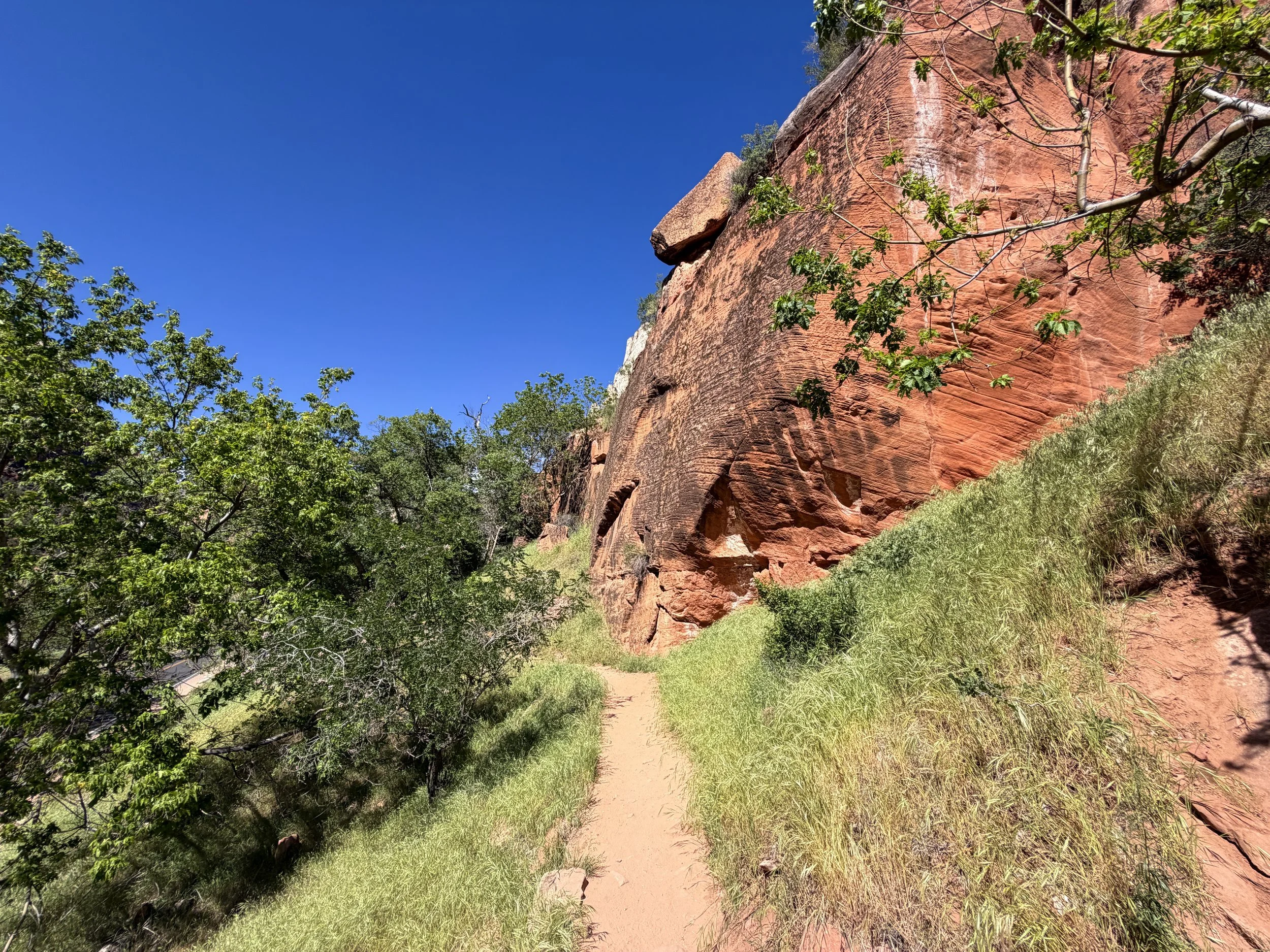 Grotto Trail Zion National Park Utah