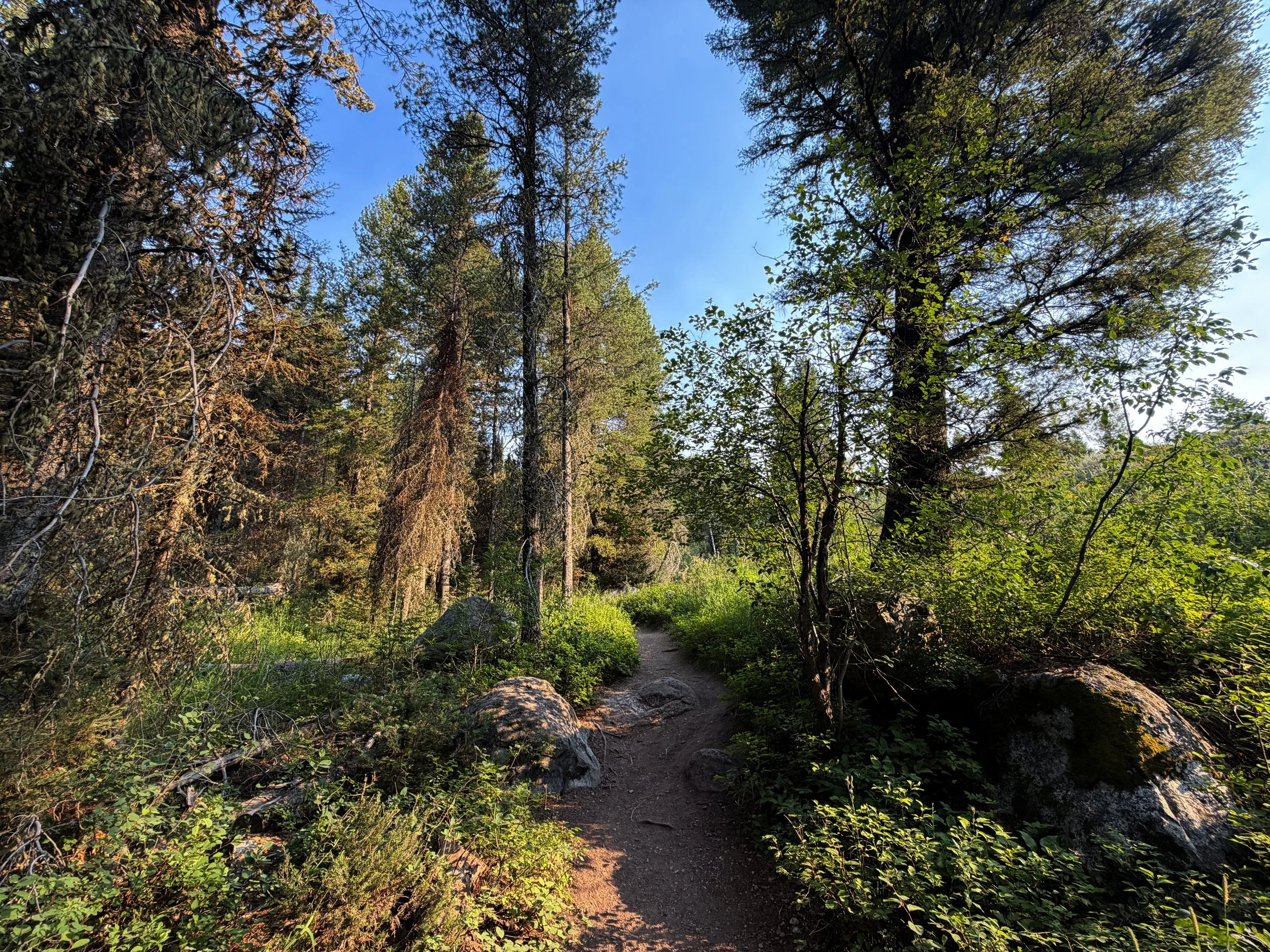 Boulder Ridge Loop Trail Grand Teton National Park Wyoming