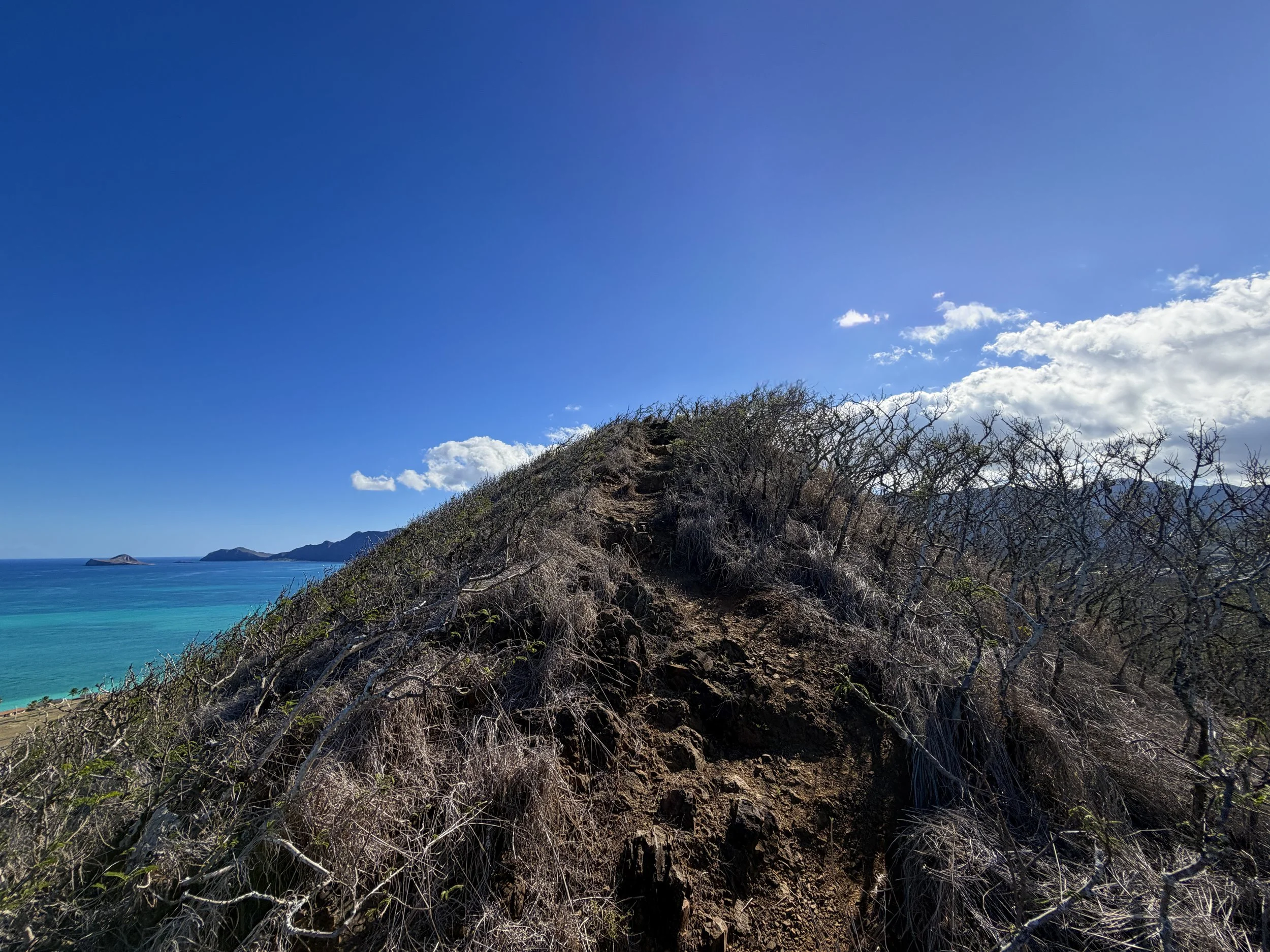 Wailea Point Kaiwa Ridge Trail Oahu Hawaii