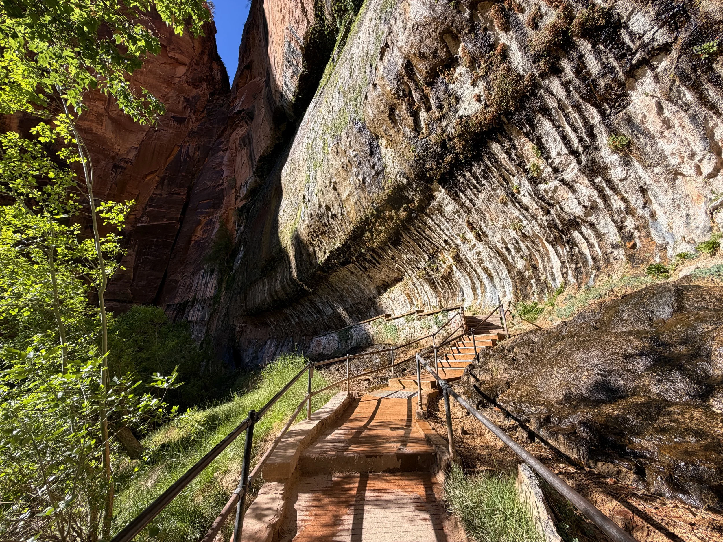 Weeping Rock Zion National Park Utah