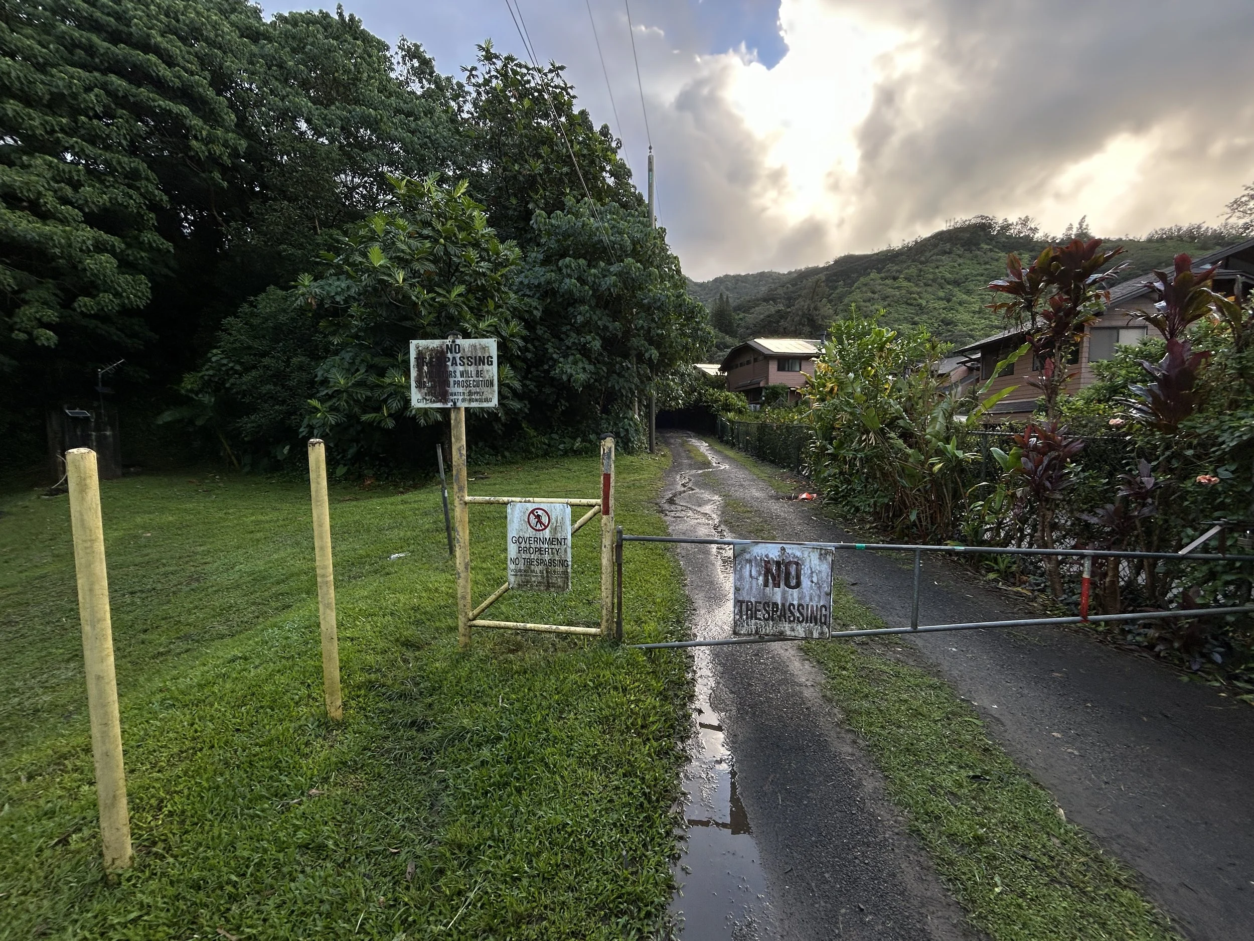 Hiking the Mānoa Middle Ridge Trail on Oʻahu — noahawaii