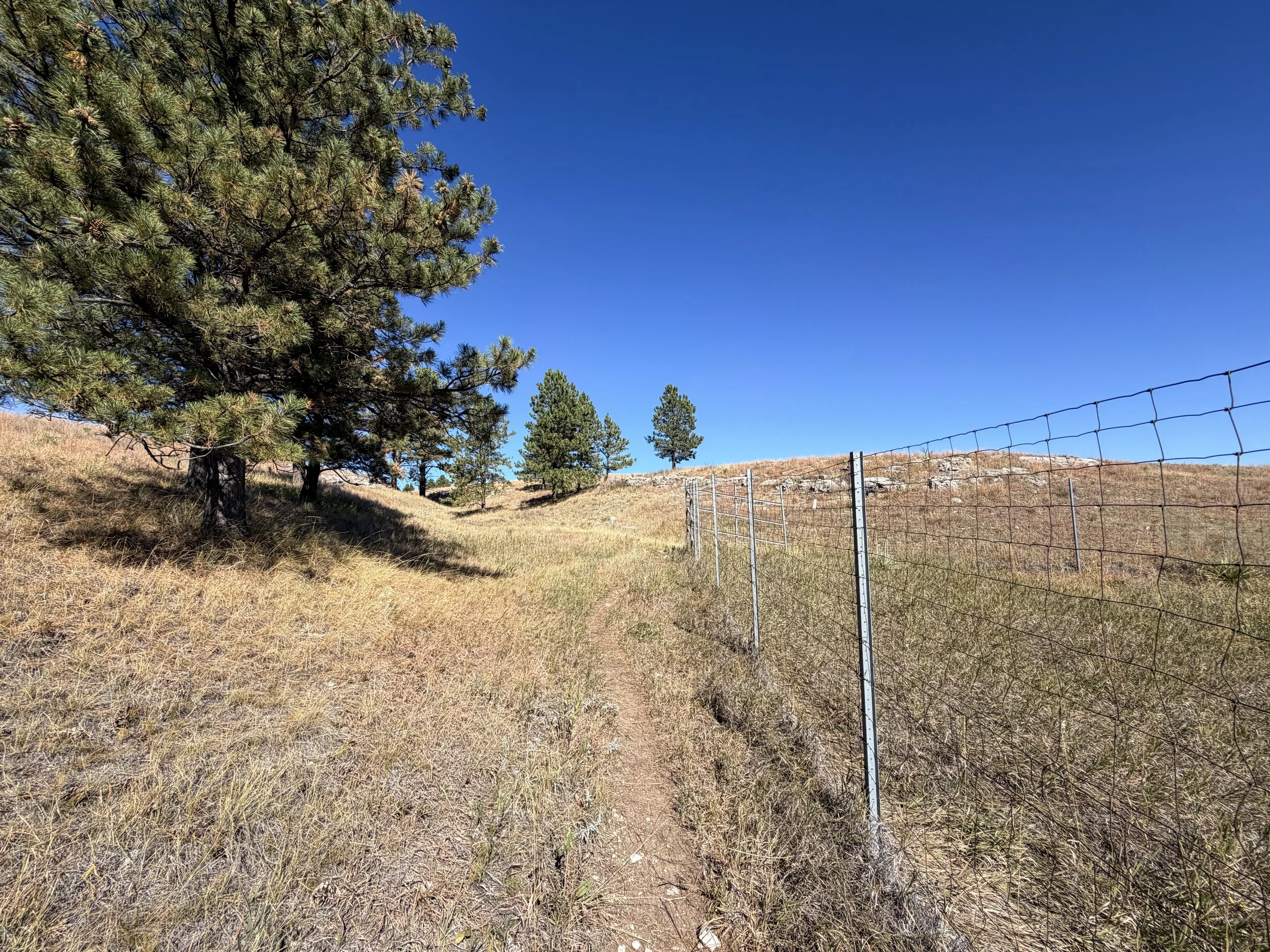 East Bison Flats Trail Wind Cave National Park South Dakota