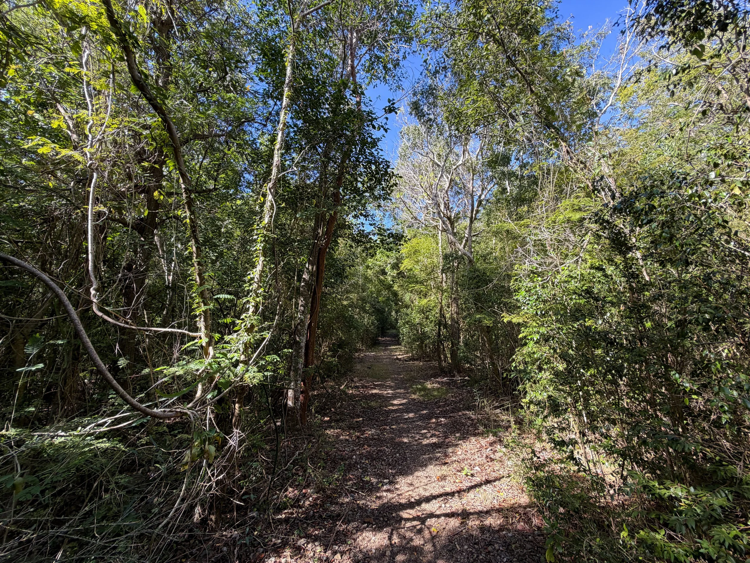 Lameshur Bay Trail Virgin Islands National Park