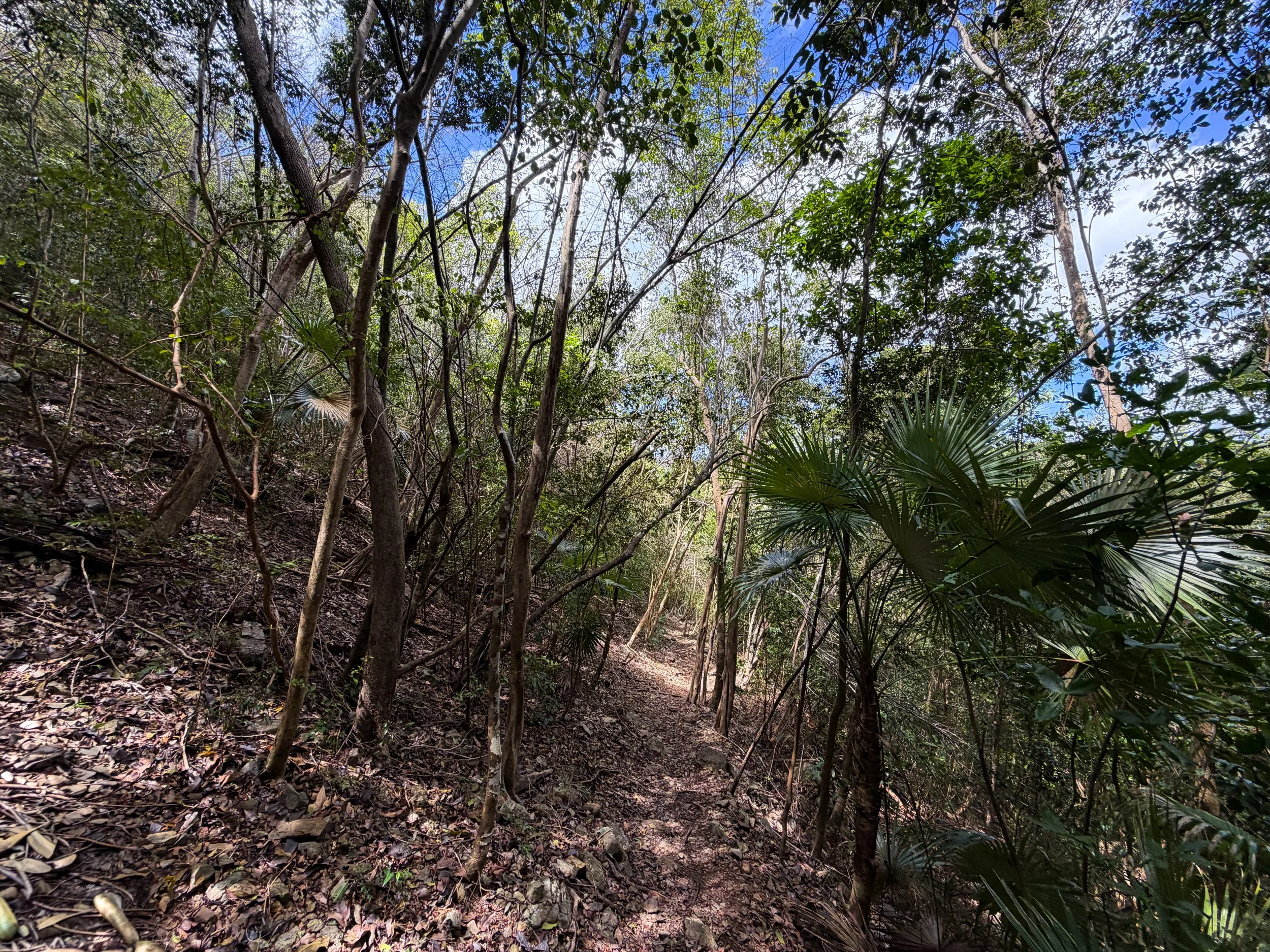 Maria Hope Trail Virgin Islands National Park