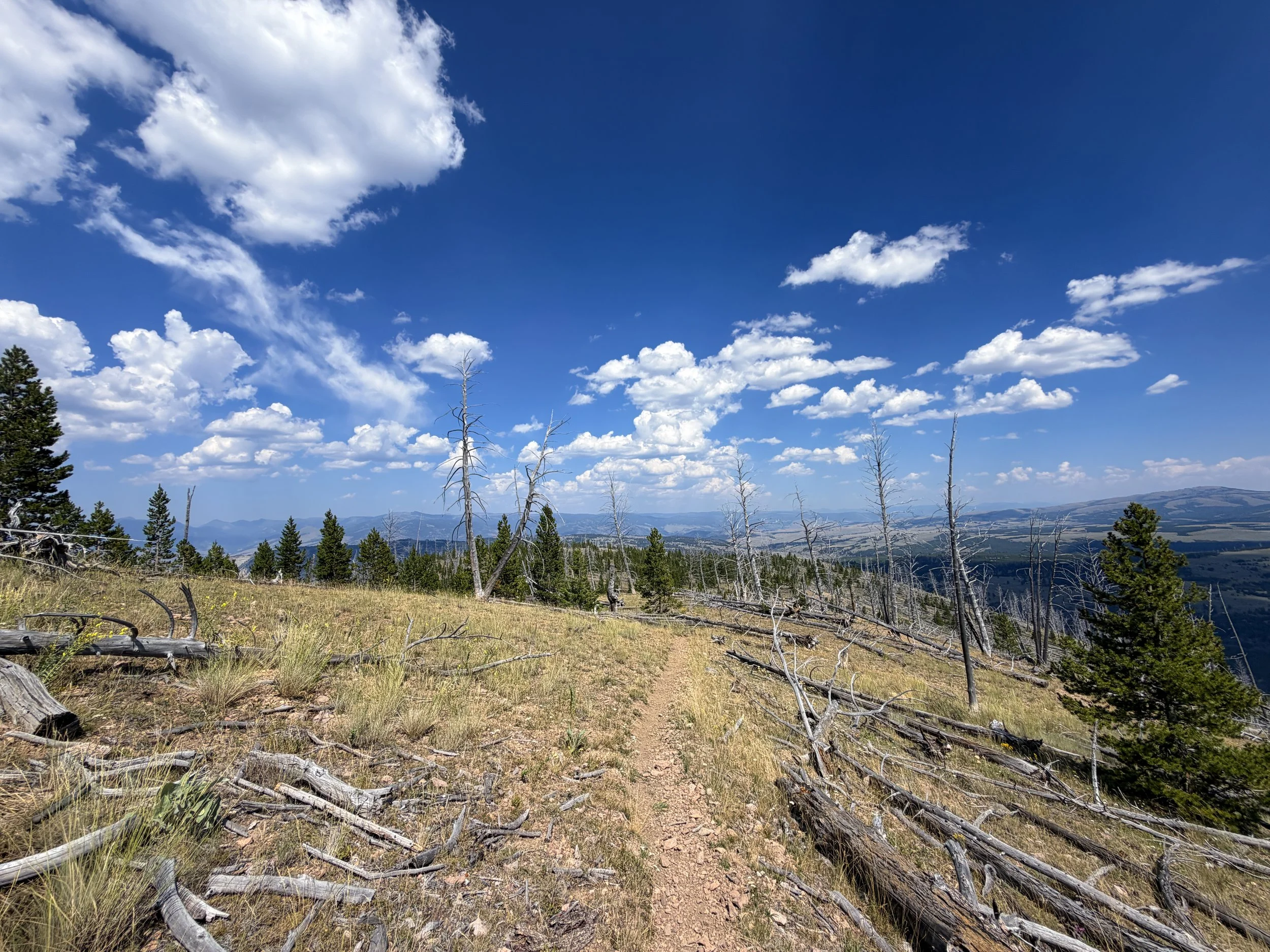 Bunsen Peak Trail to Osprey Falls Yellowstone National Park Wyoming