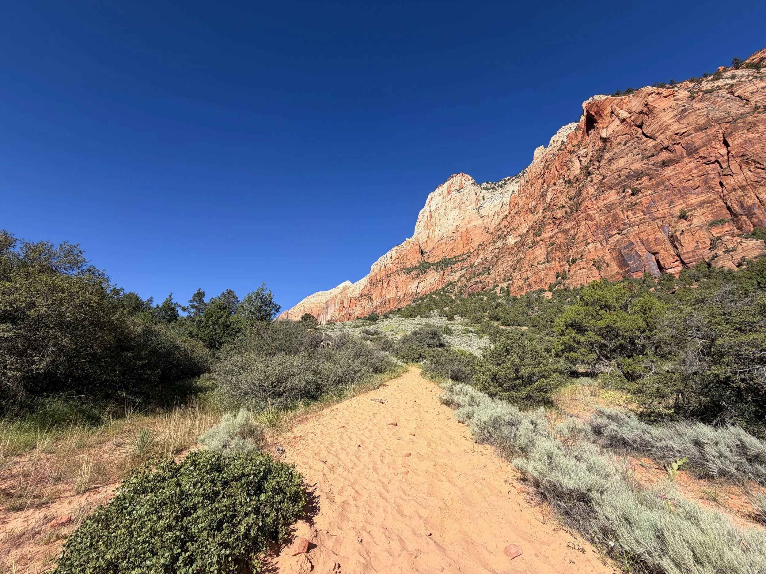 Sand Bench Loop Trail Zion National Park Utah