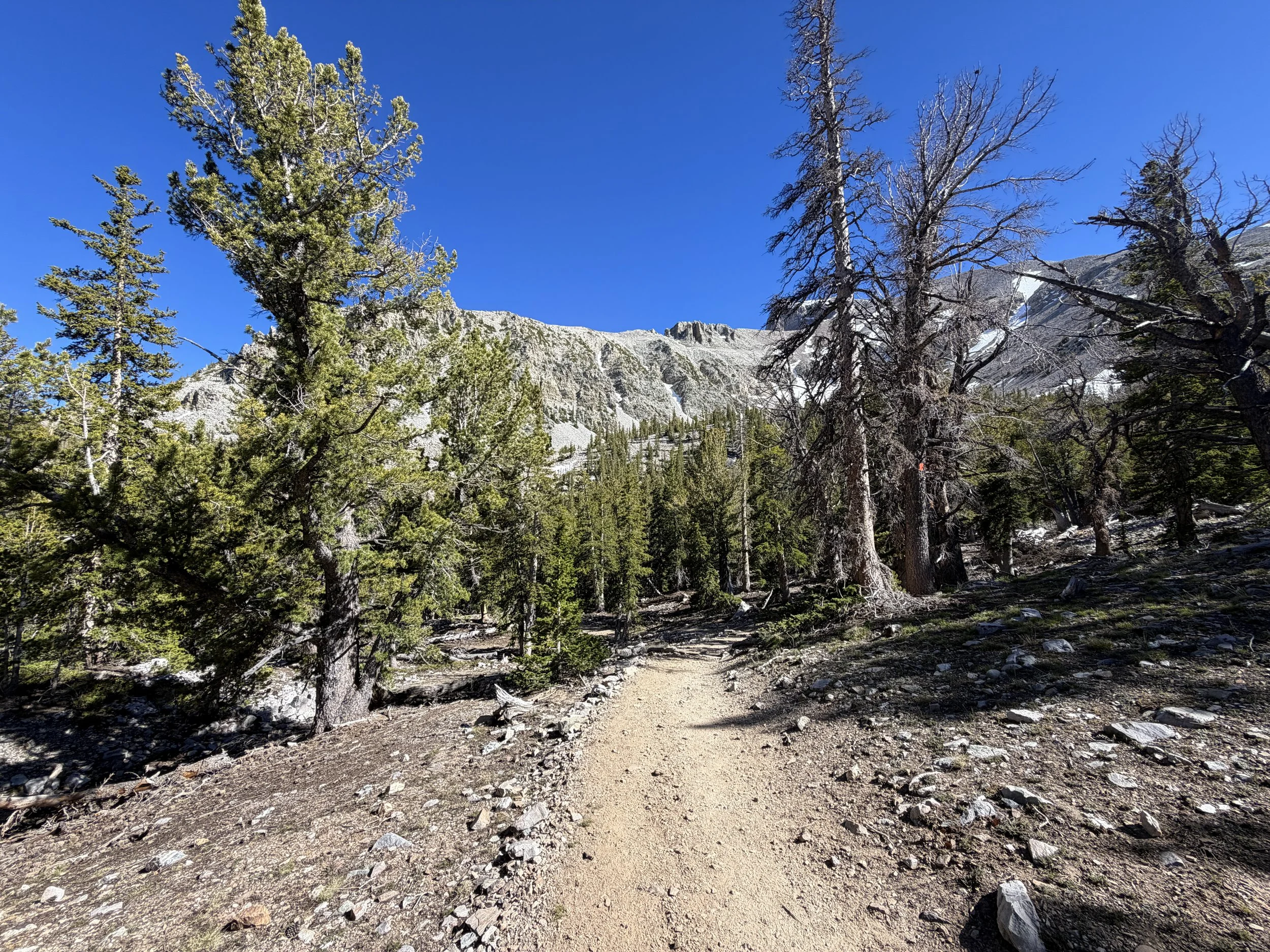 Alpine Lakes Loop Trail Great Basin National Park Nevada