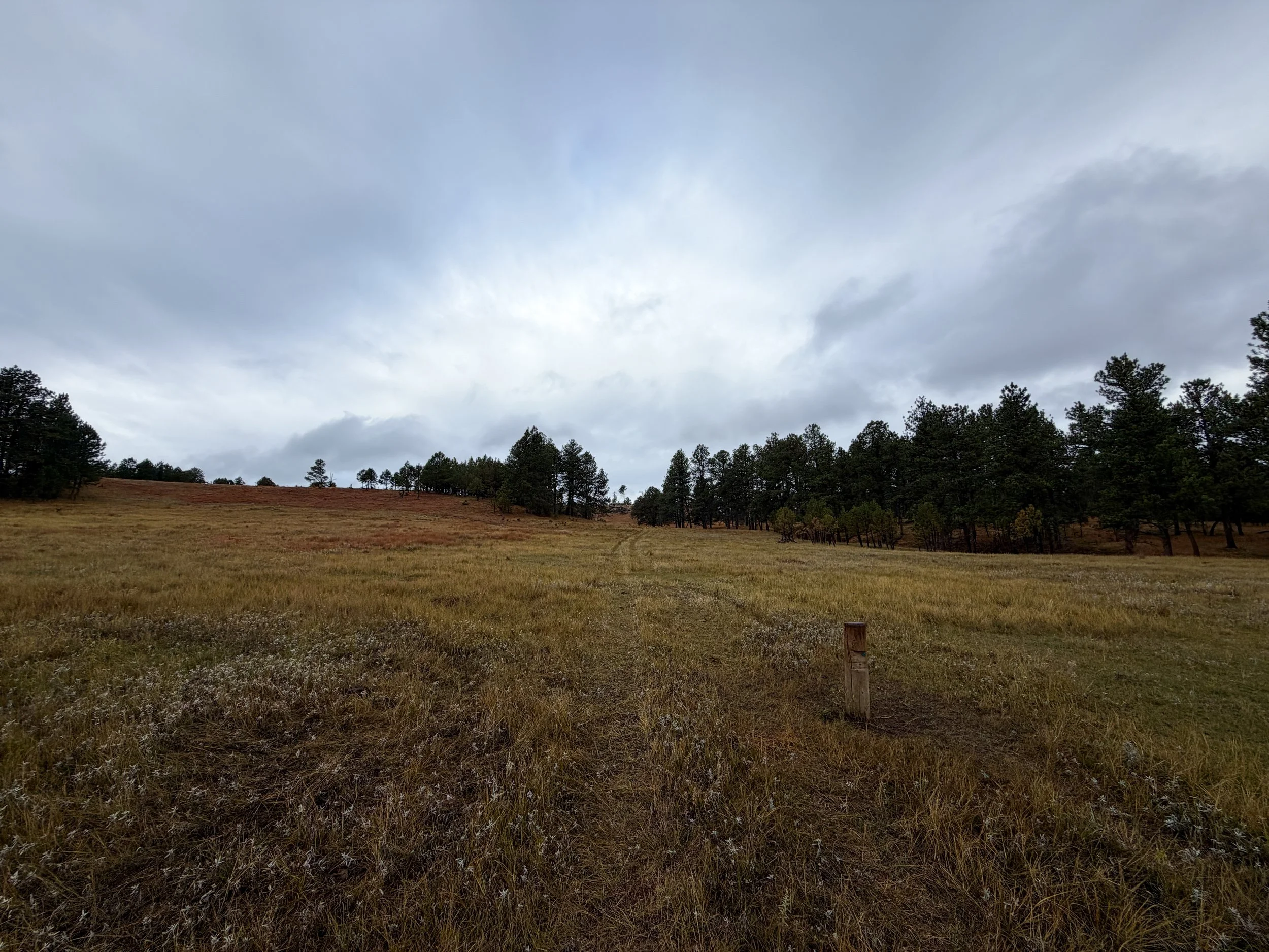 Highland Creek Trail to Wind Cave Canyon Wind Cave National Park South Dakota