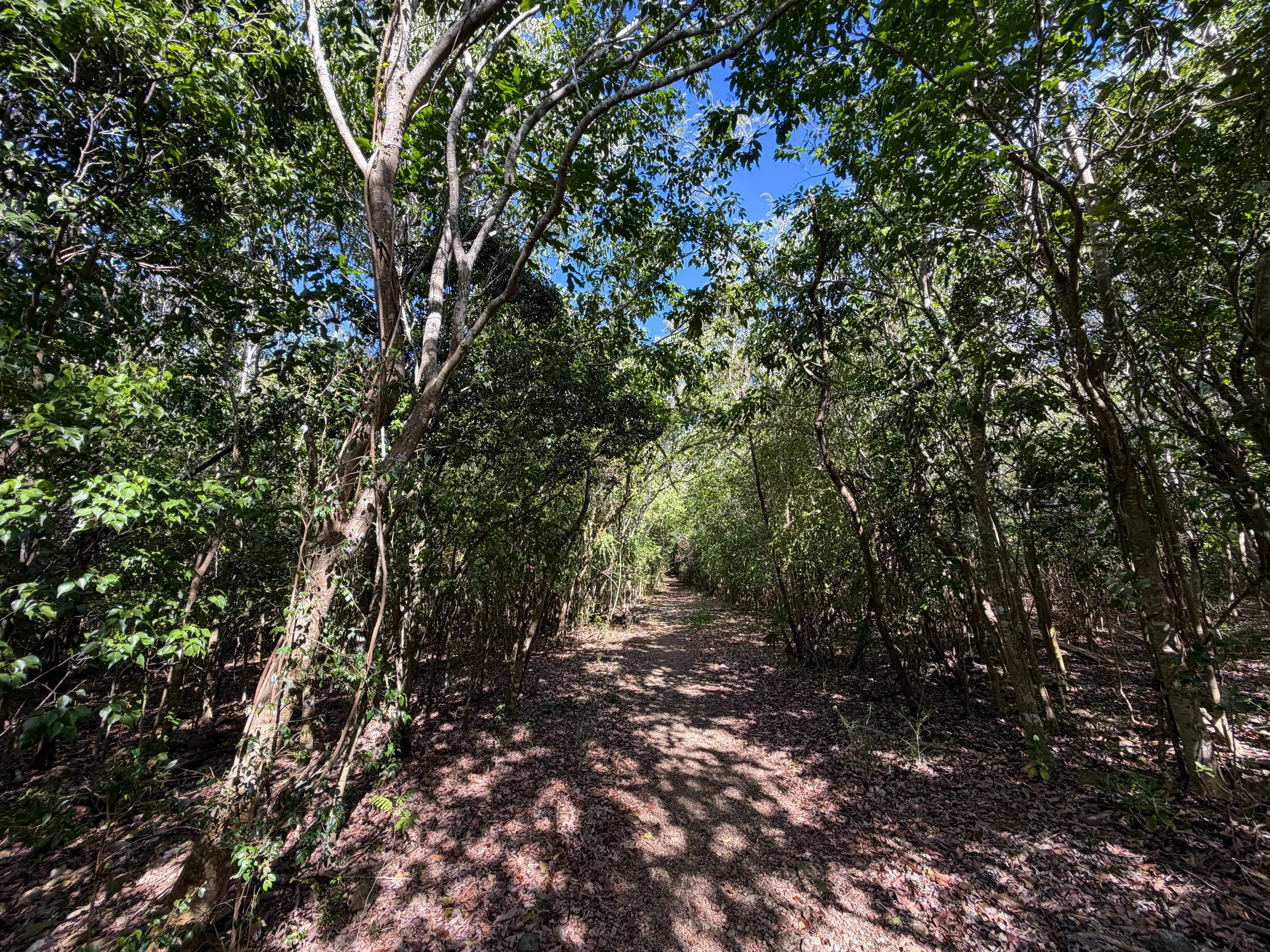Lameshur Bay Trail Virgin Islands National Park