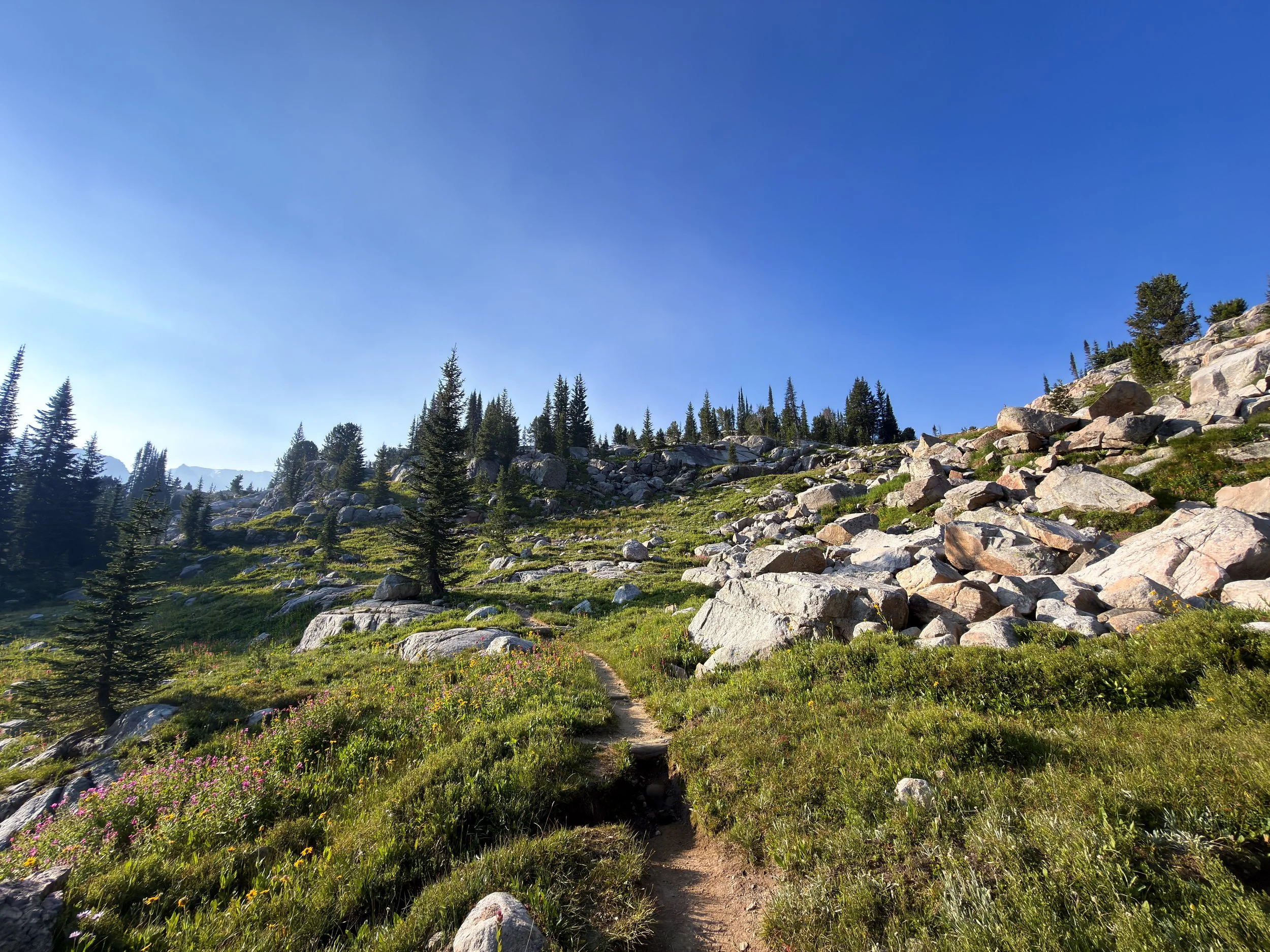 Beaten Path Trail Beartooth Mountains Montana