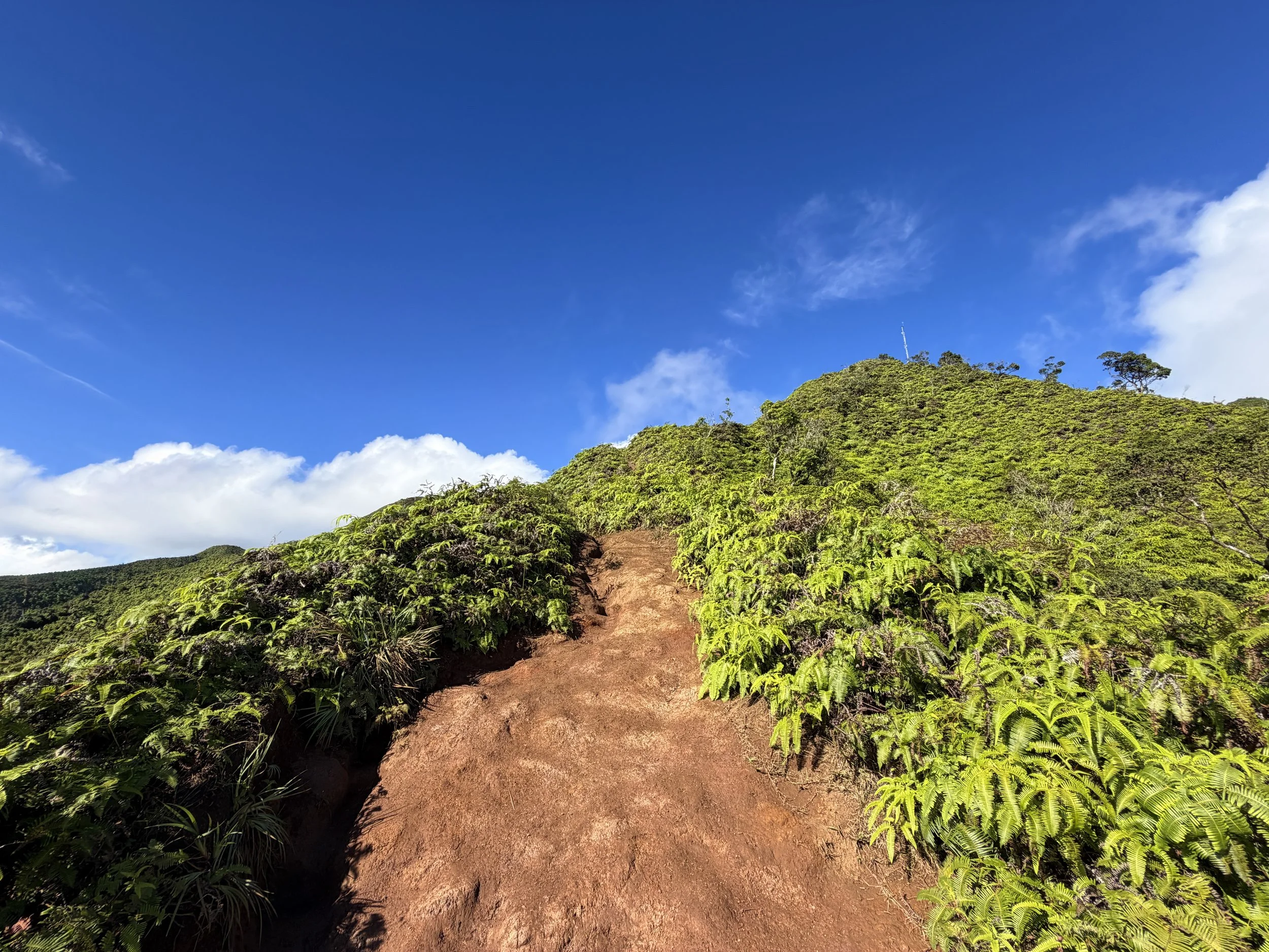 Wiliwilinui Ridge Trail Stairs Oahu Hawaii