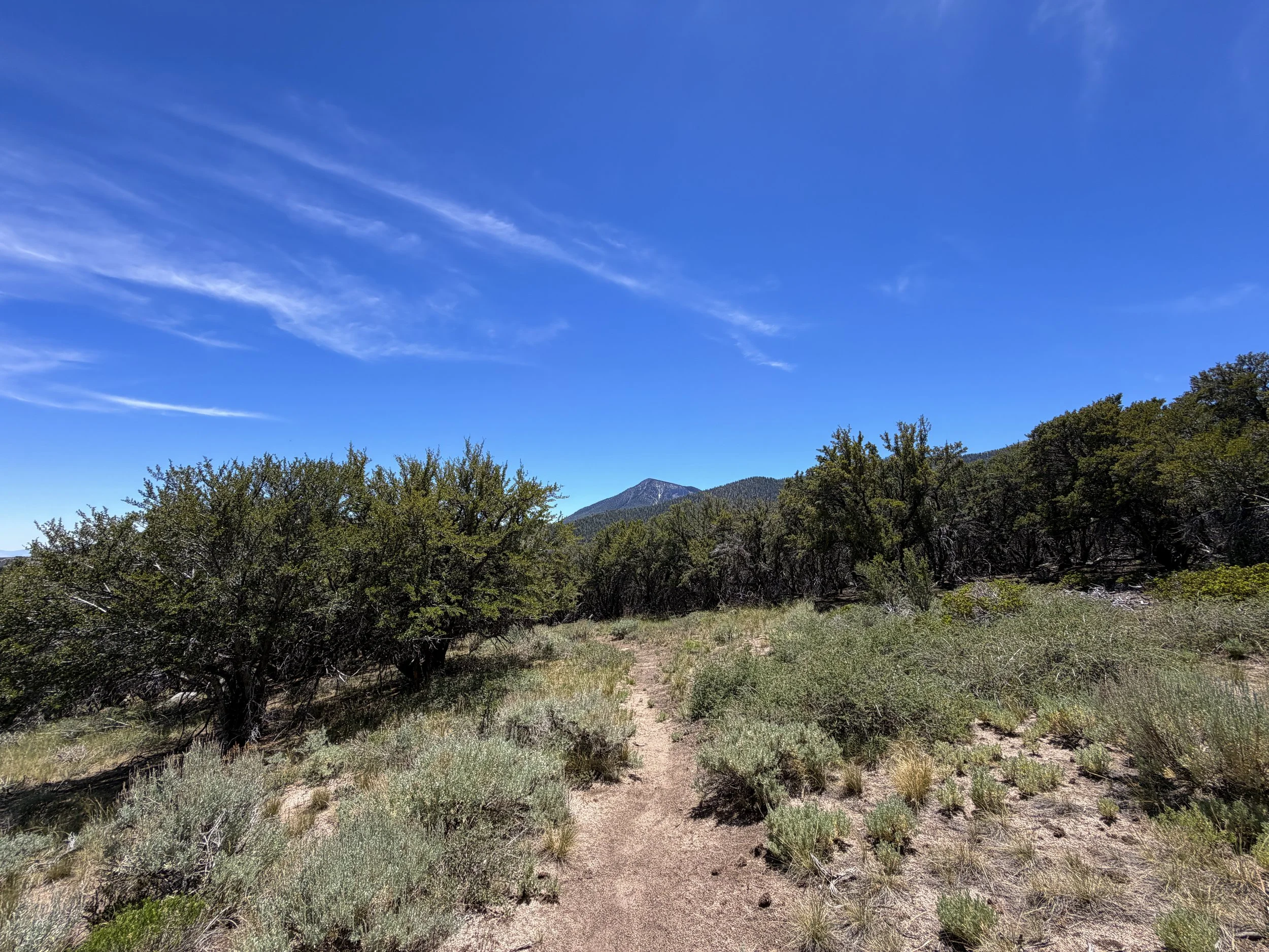 Serviceberry Loop Trail Great Basin National Park Nevada