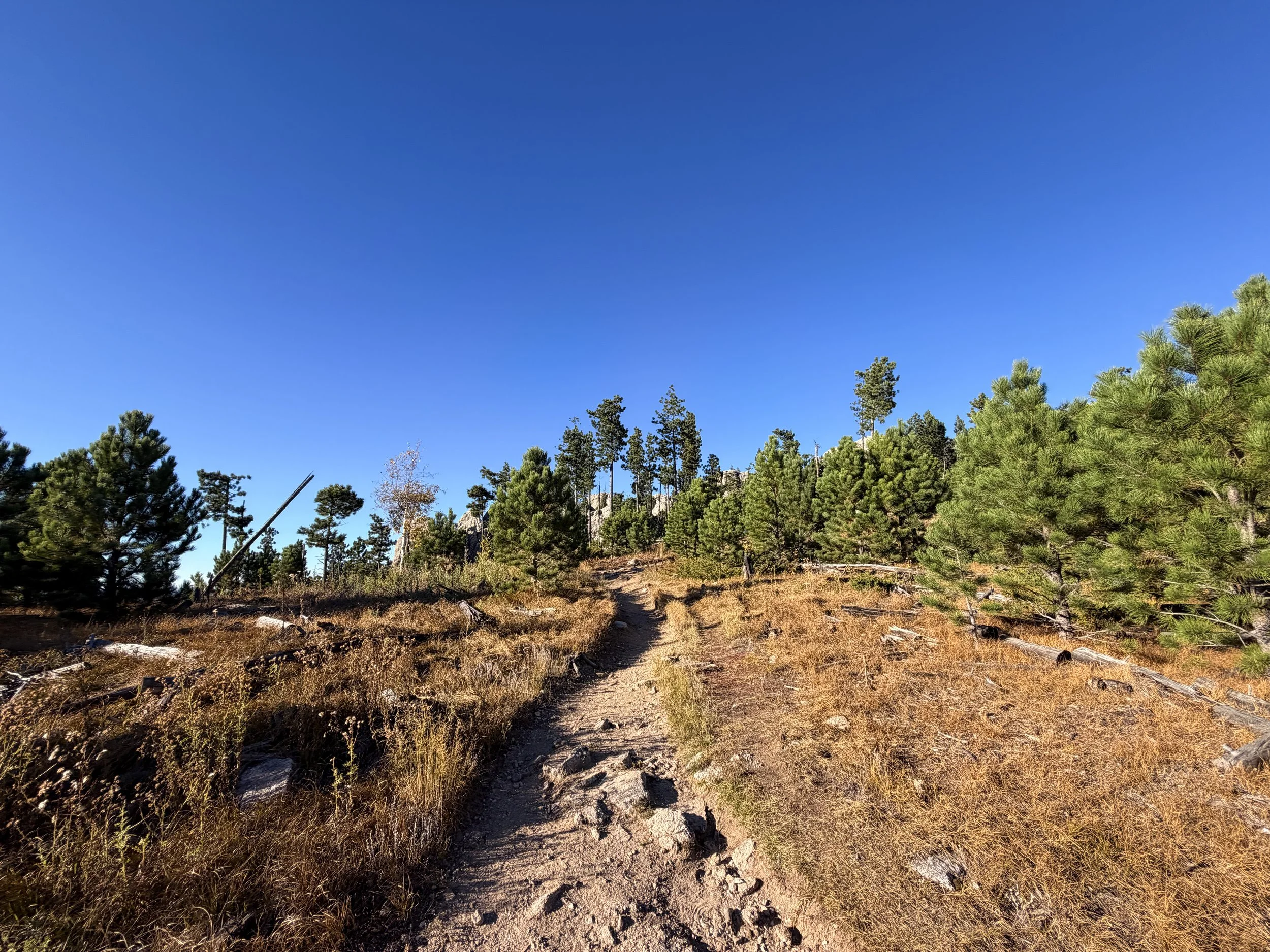 Little Devils Tower Trail Custer State Park Black Hills South Dakota