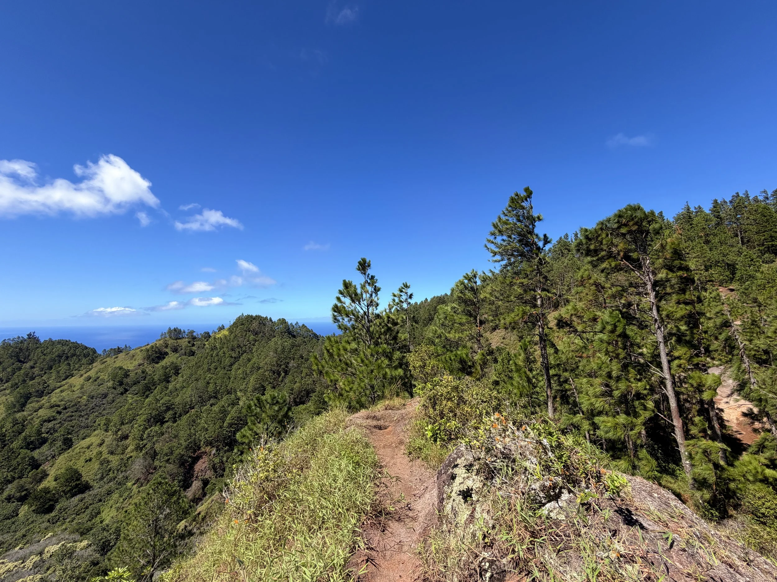 Kuaokala Hike Oahu Hawaii