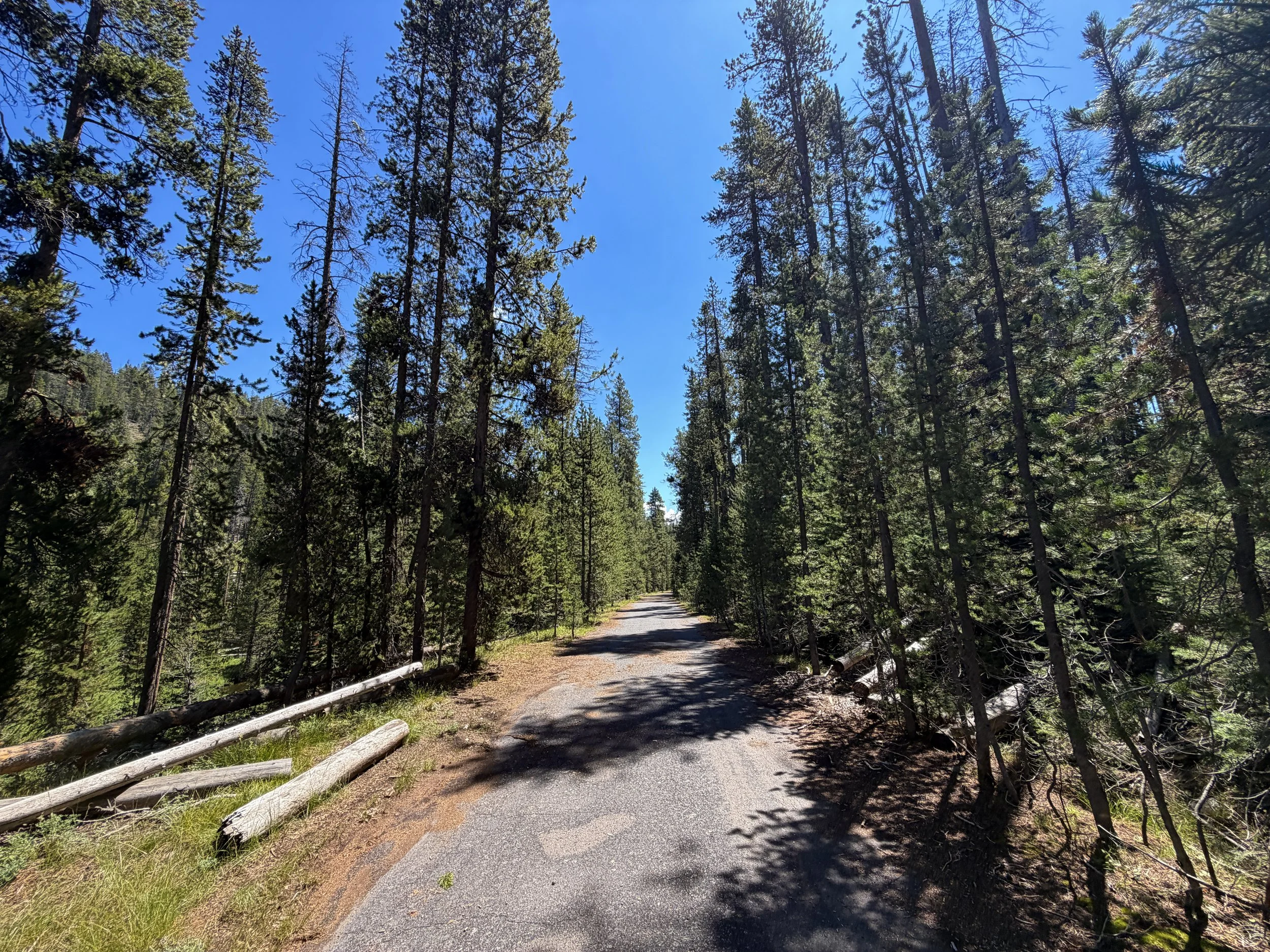 Lone Star Trail Yellowstone National Park Wyoming