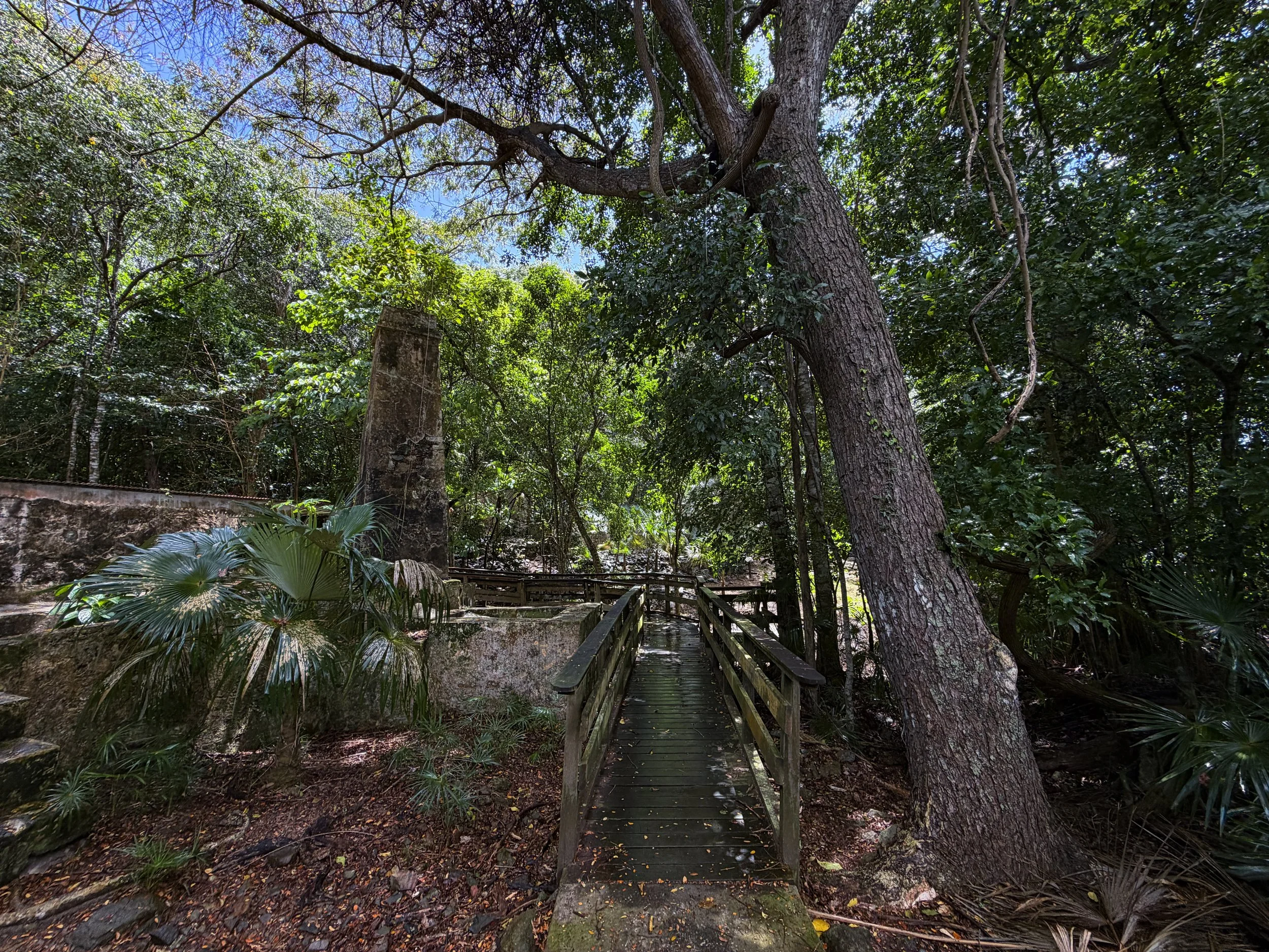 Cinnamon Bay Loop Trail Factory Ruins Virgin Islands National Park