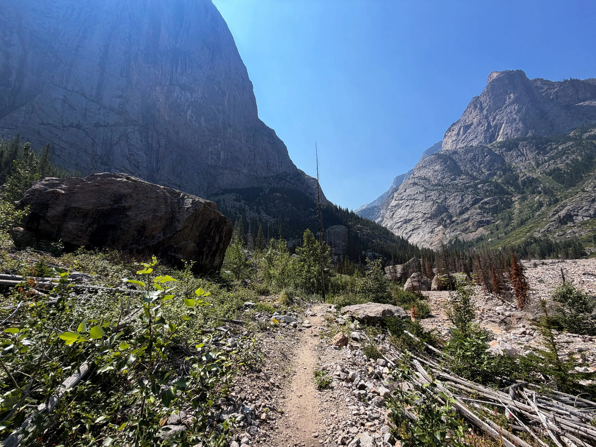 East Rosebud Trail Beaten Path Beartooth Mountains Montana