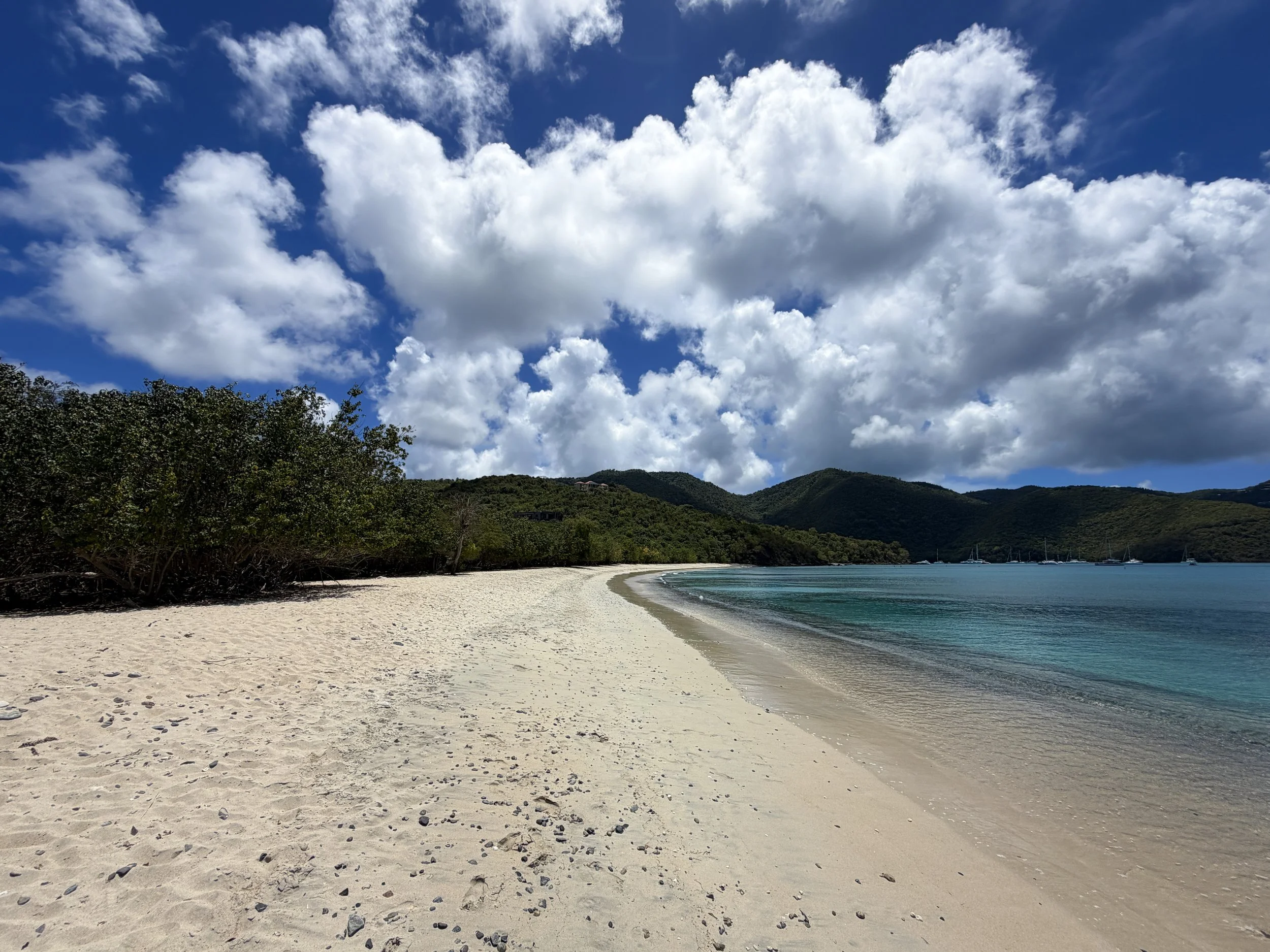 Francis Bay Beach Virgin Islands National Park