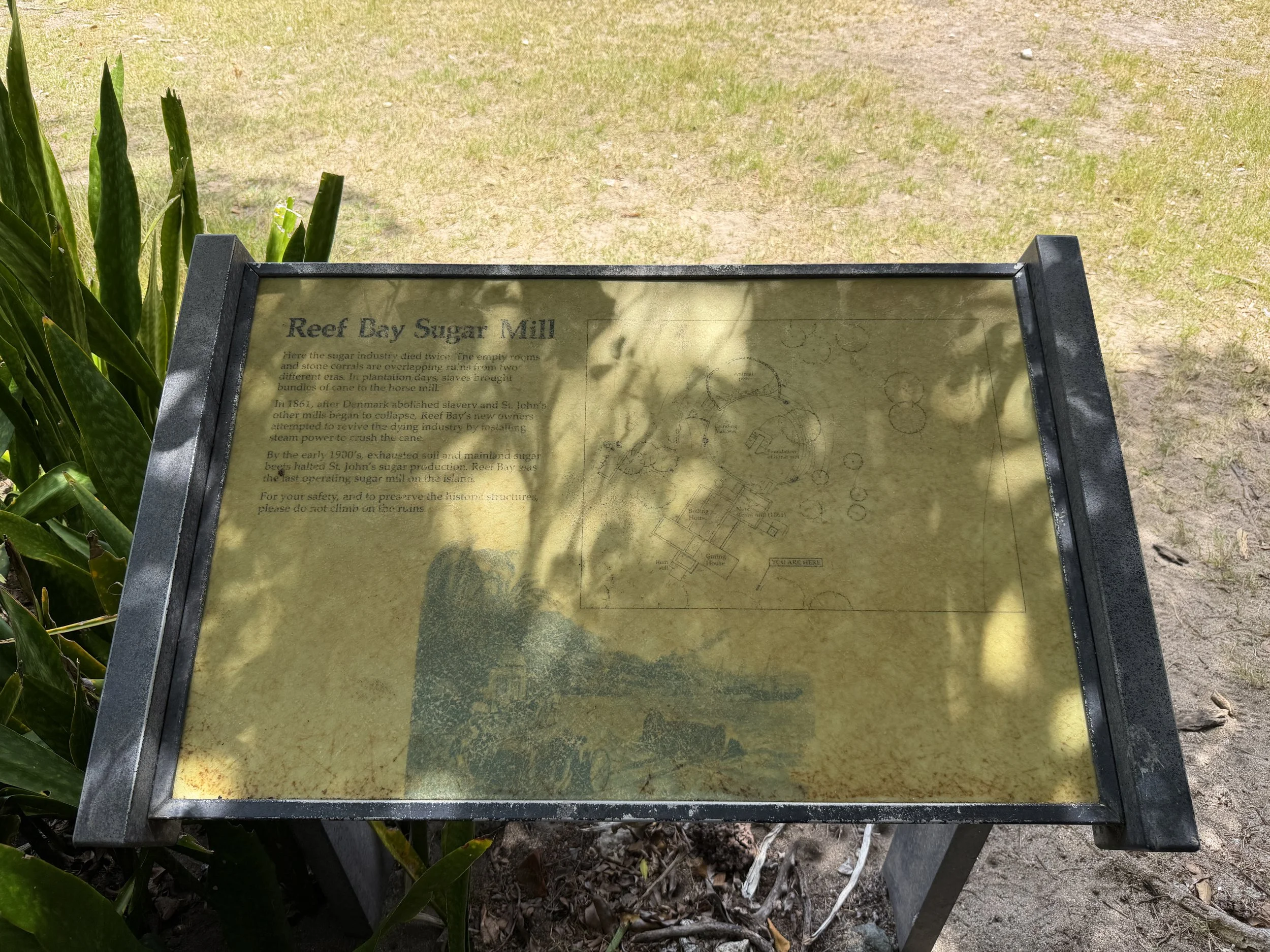 Reef Bay Sugar Mill Virgin Islands National Park