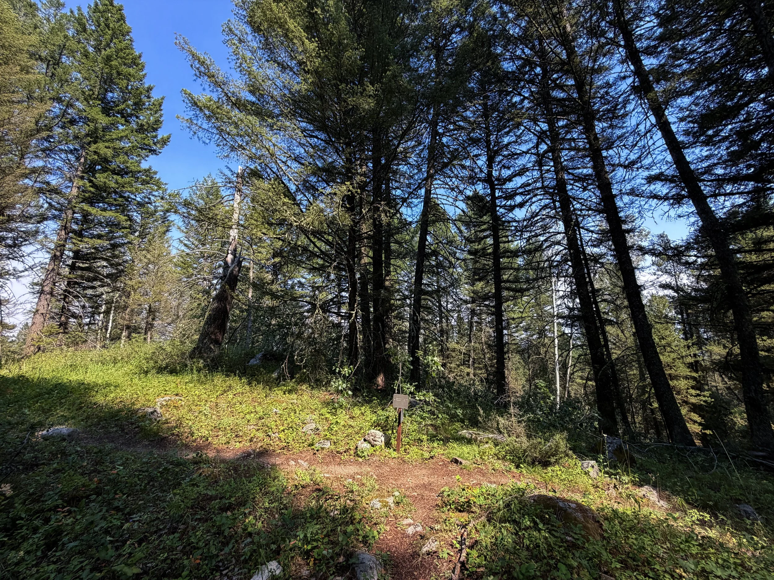 Boulder Field Trail Grand Teton National Park Wyoming