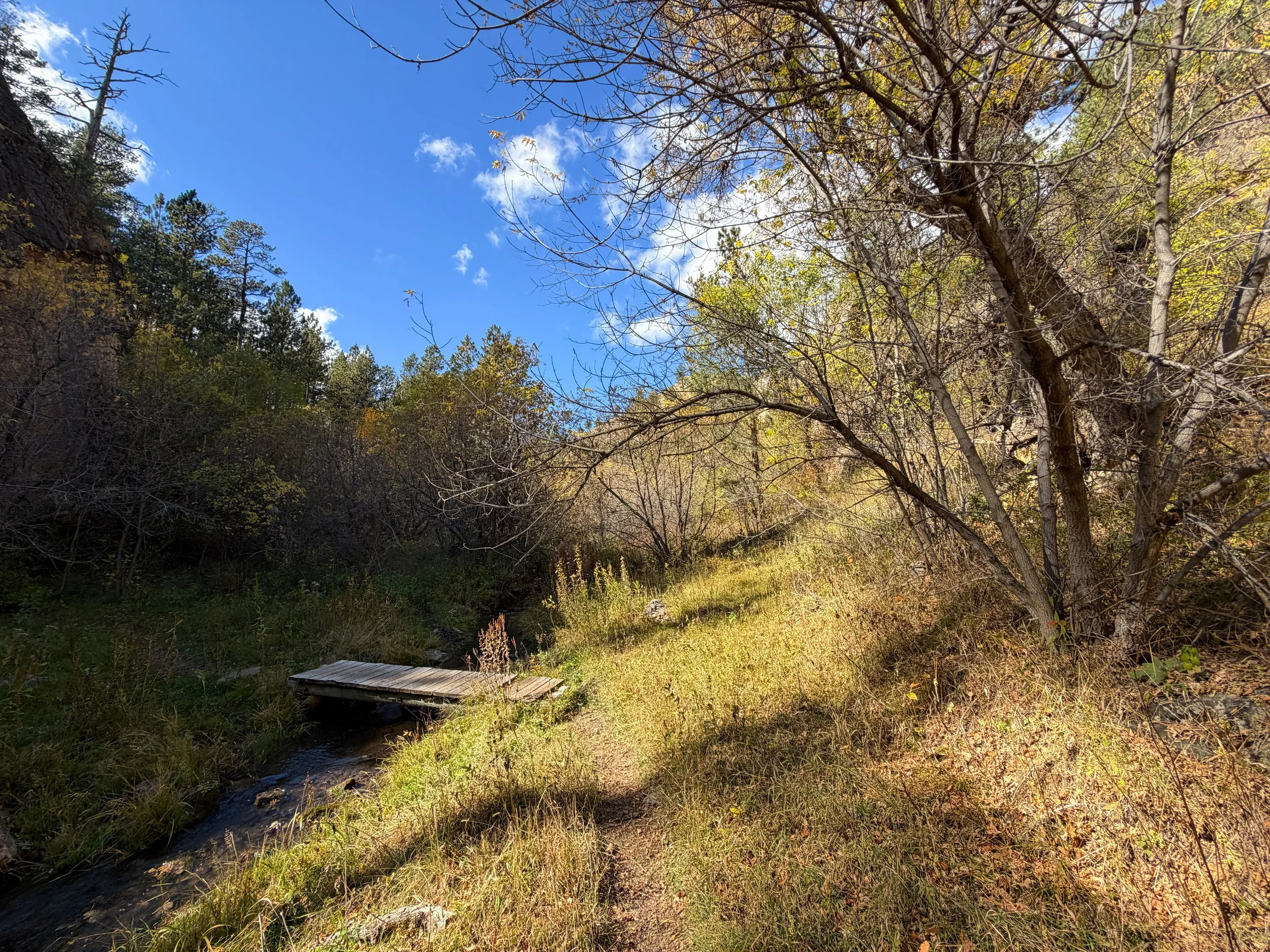Lookout Point Loop Trail Wind Cave National Park South Dakota