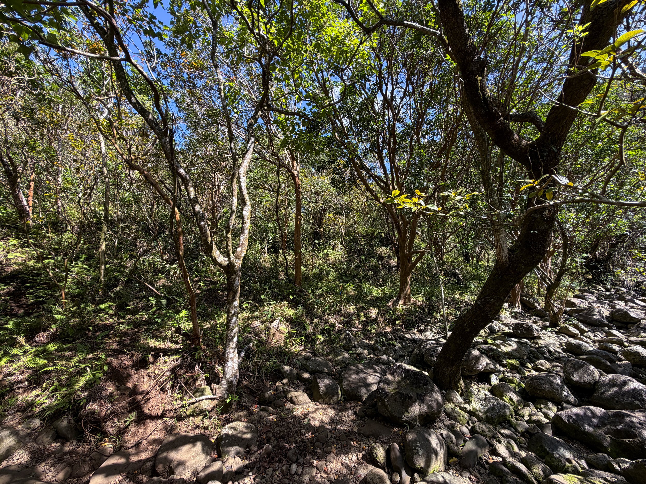 Kulanaahane Trail Oahu Hawaii
