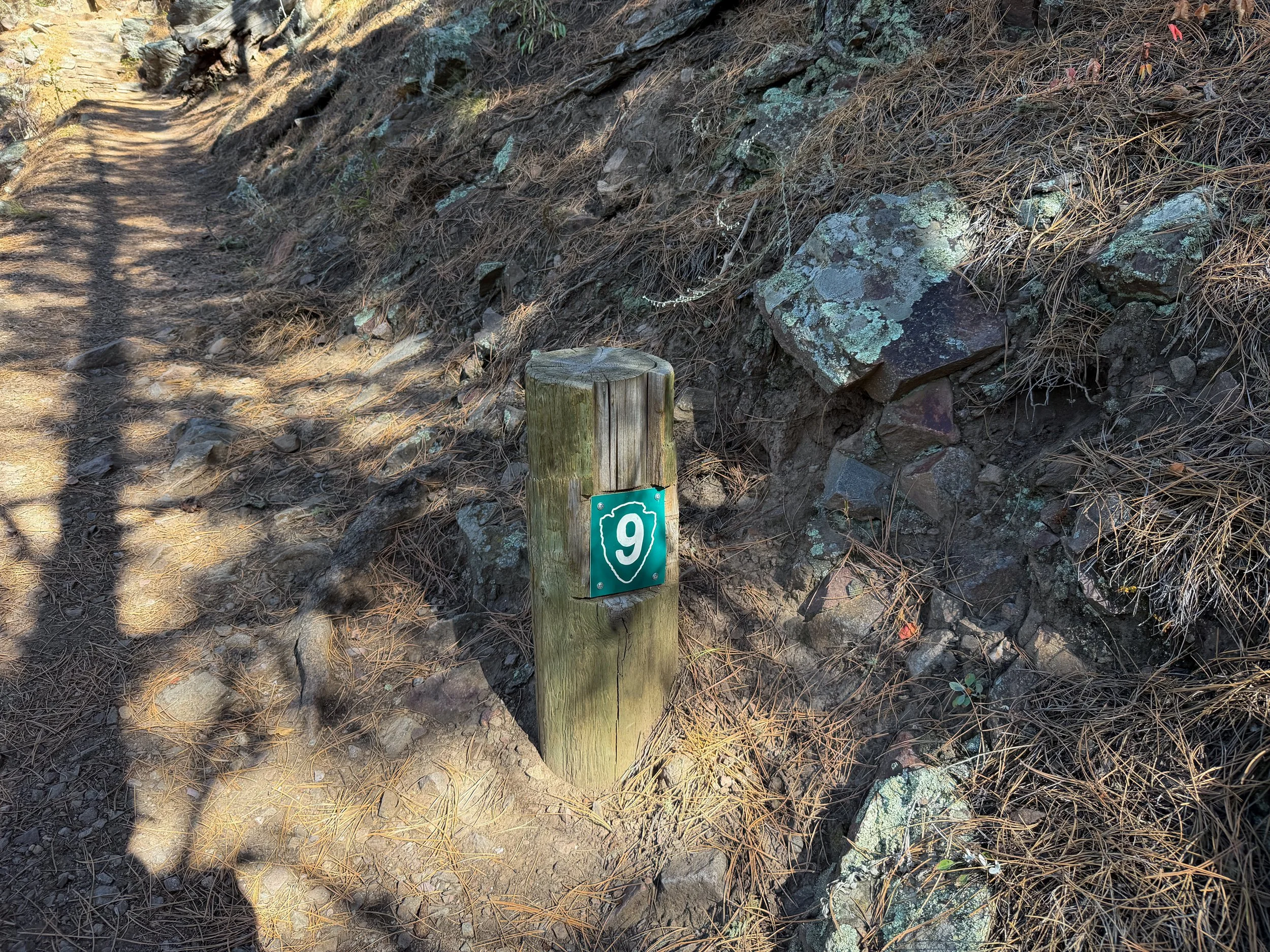 Rankin Ridge Nature Hike Wind Cave National Park South Dakota