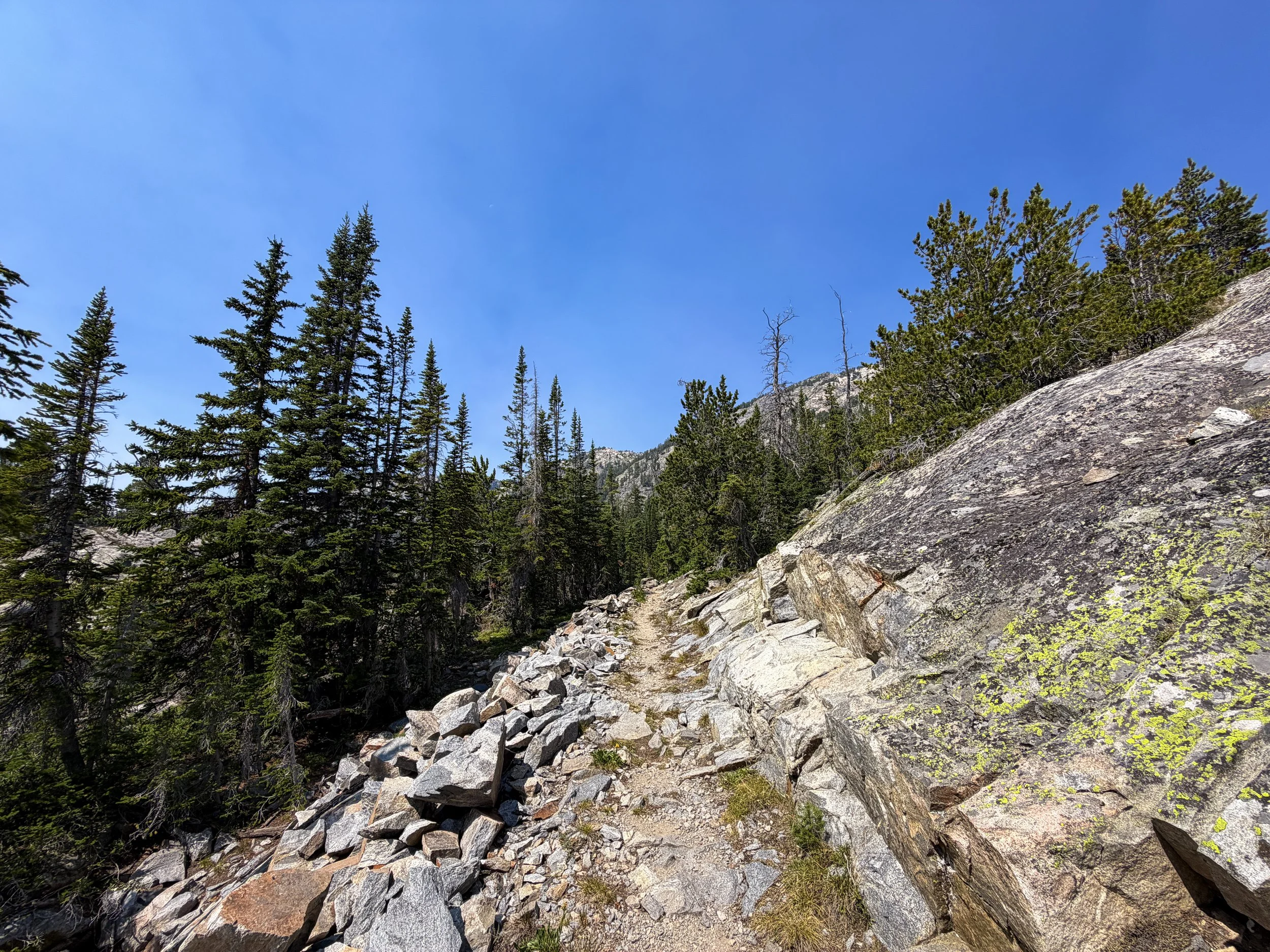 The Beaten Path Trail Beartooth Mountains Montana