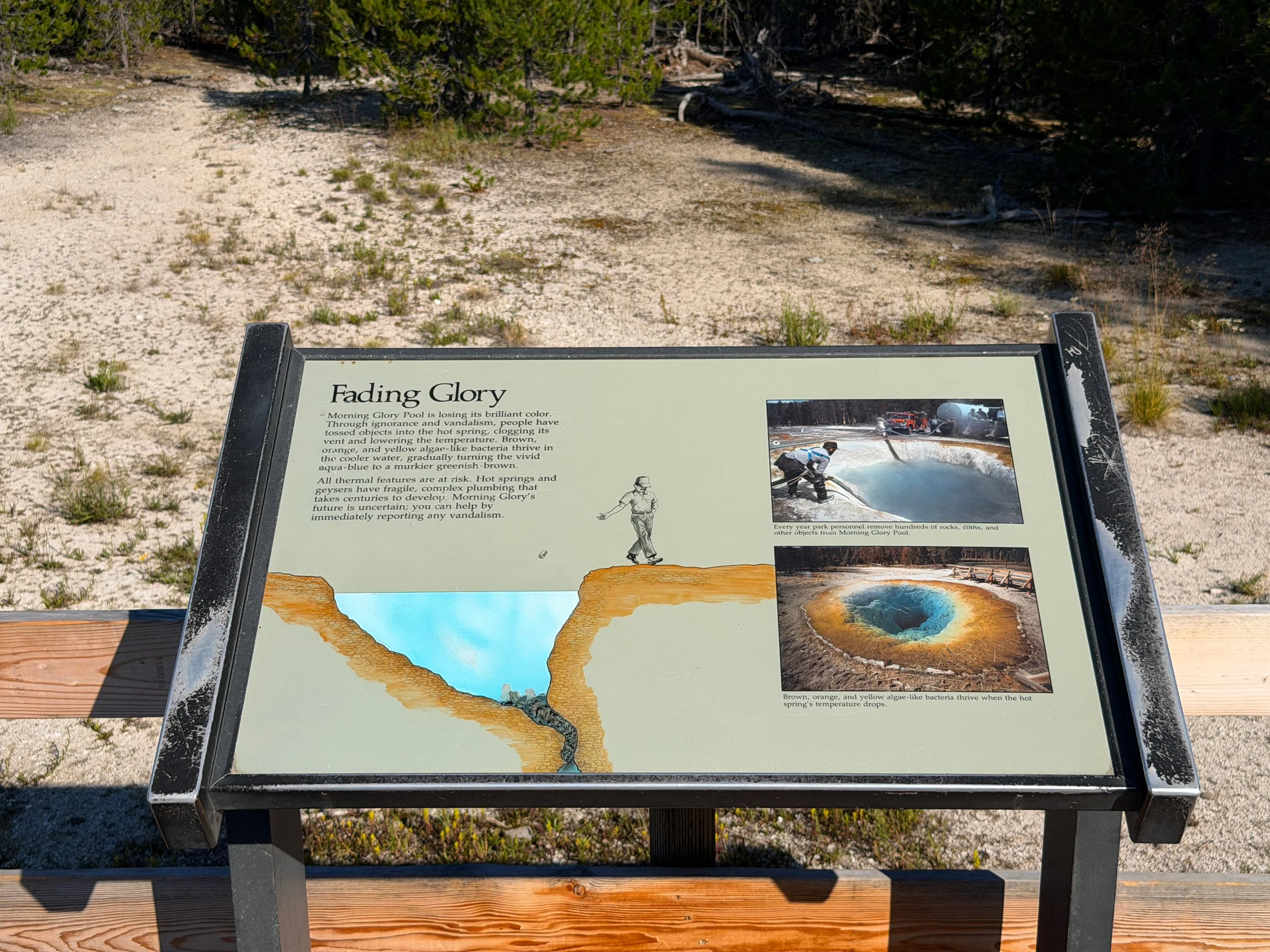Morning Glory Pool Yellowstone National Park Wyoming