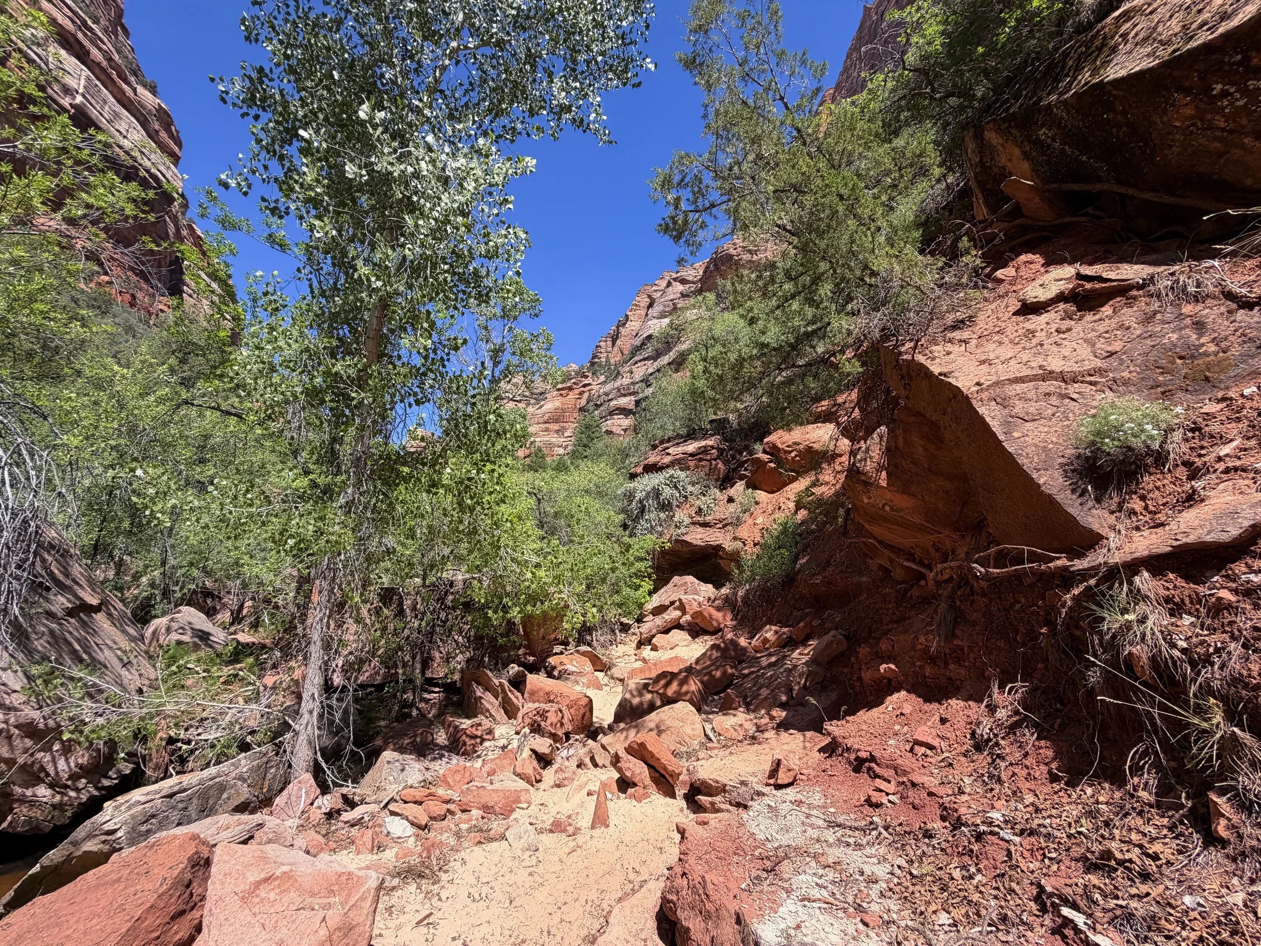 Subway Trail Zion National Park Utah