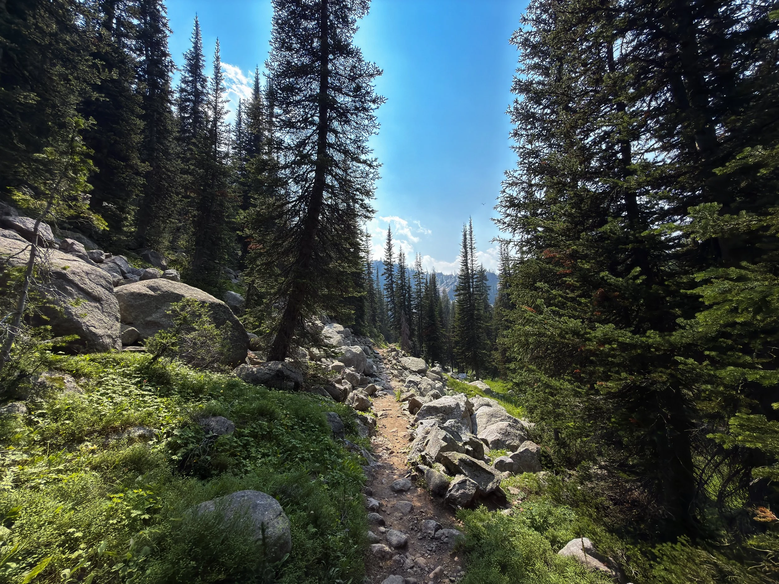 Russell Creek Trail The Beaten Path Beartooth Mountains Montana