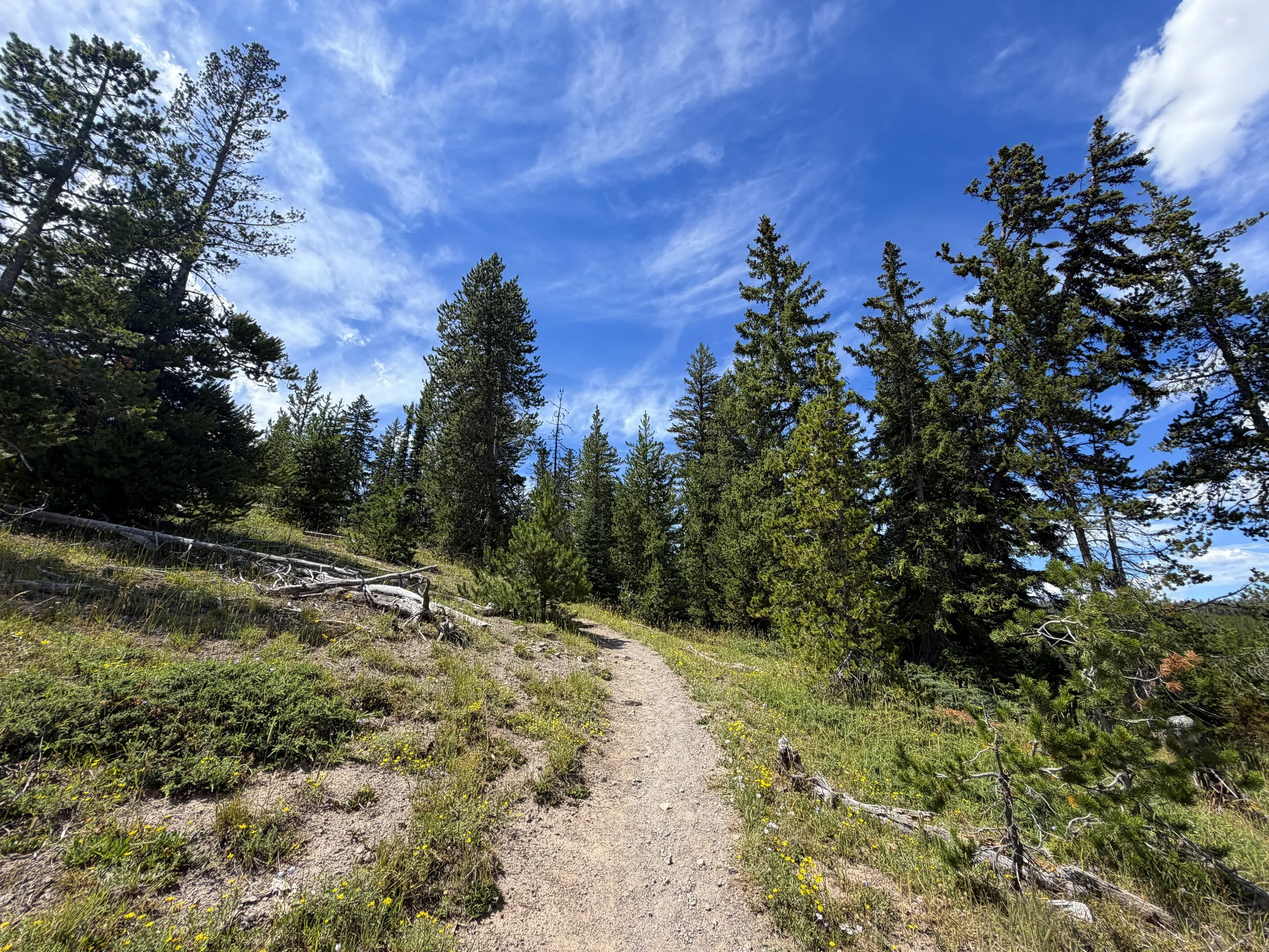West Thumb Overlook Loop Trail Yellowstone National Park Wyoming