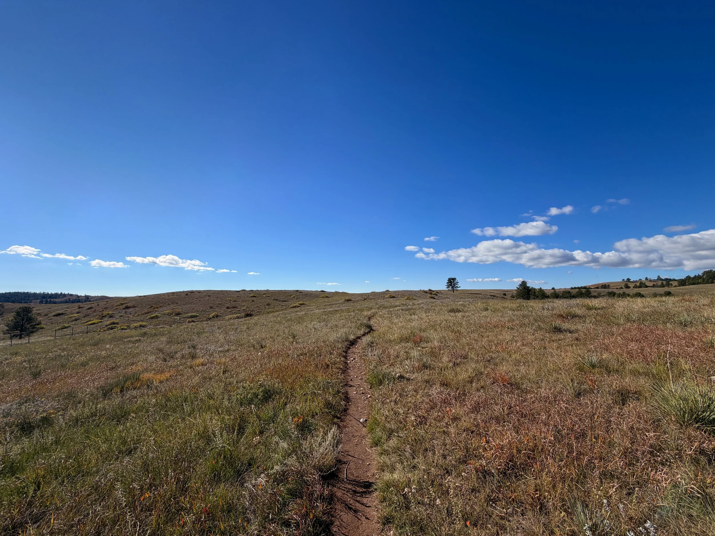 Prairie Vista Nature Trail Wind Cave National Park South Dakota