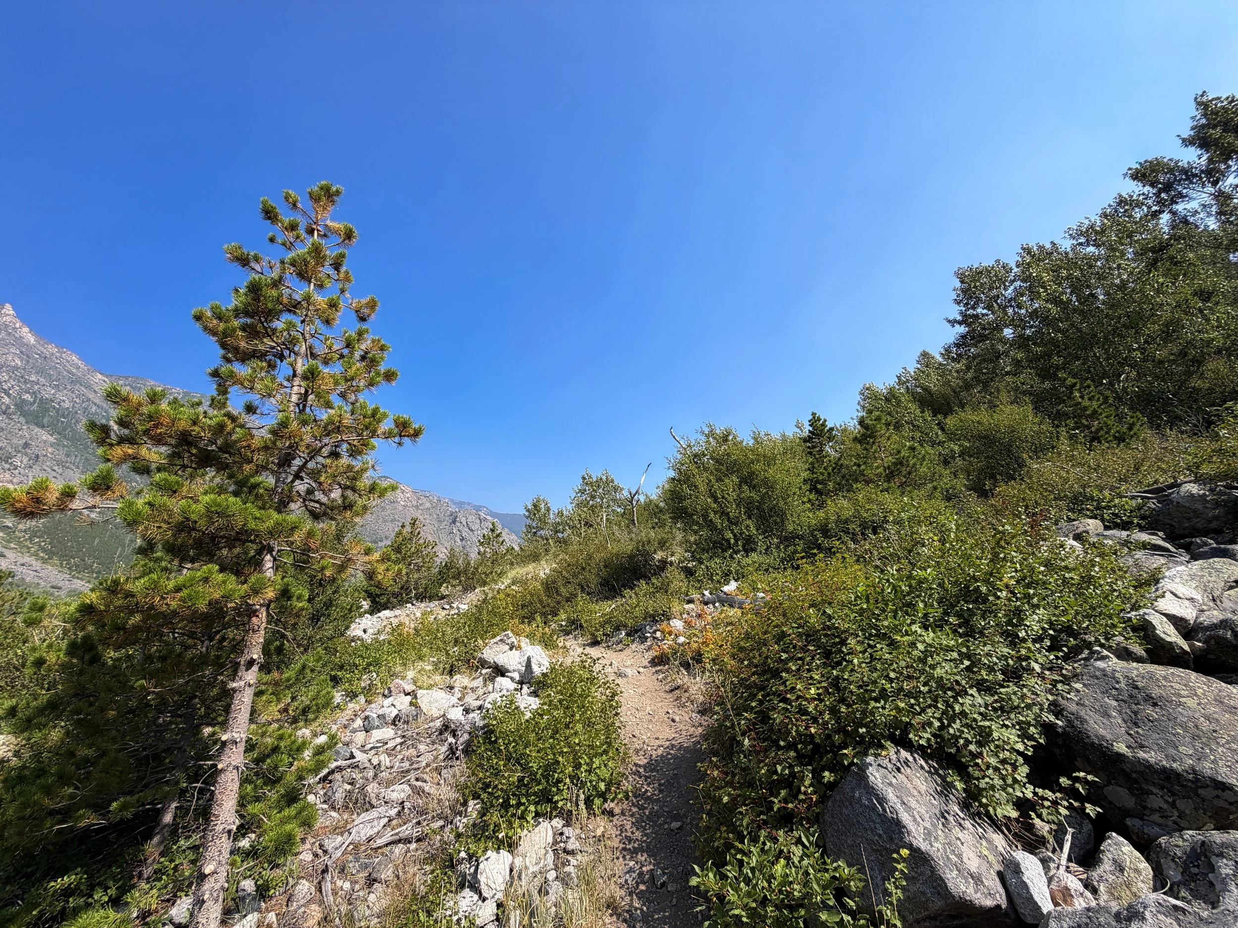 Beaten Path Trail Beartooth Mountains Montana