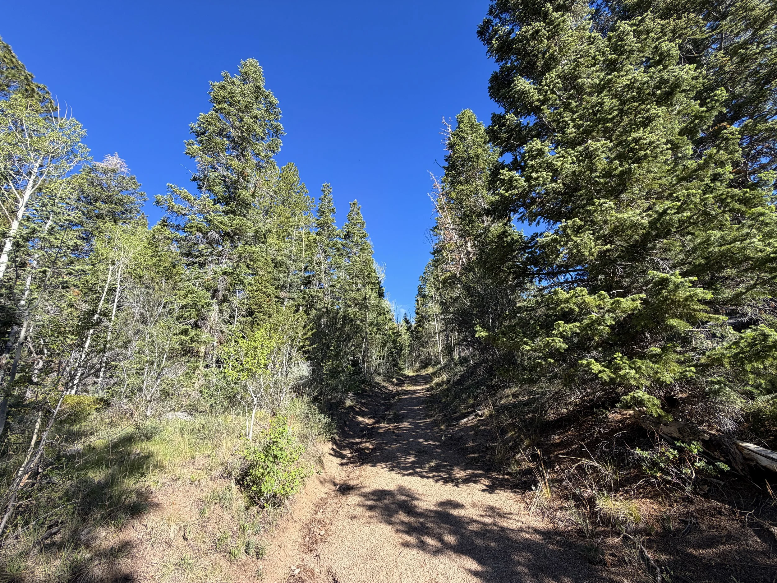 Johnson Lake Trail Great Basin National Park Nevada