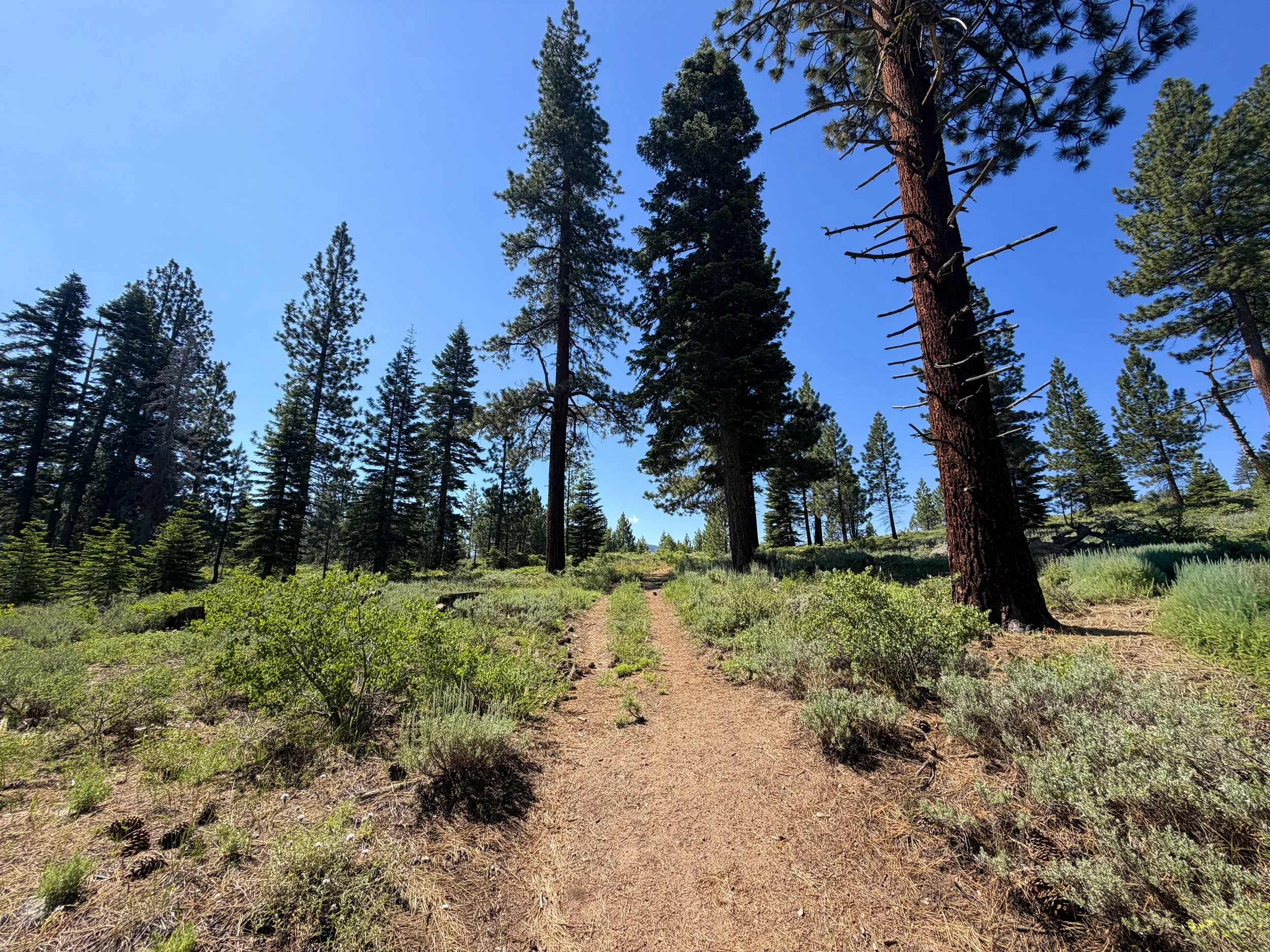 Captain Pomin Trail Lake Tahoe Nevada