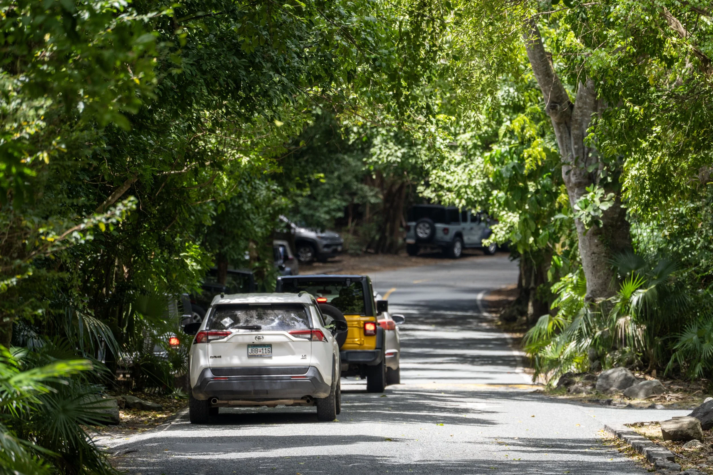 Cinnamon Bay Driving on the Left Virgin Islands National Park