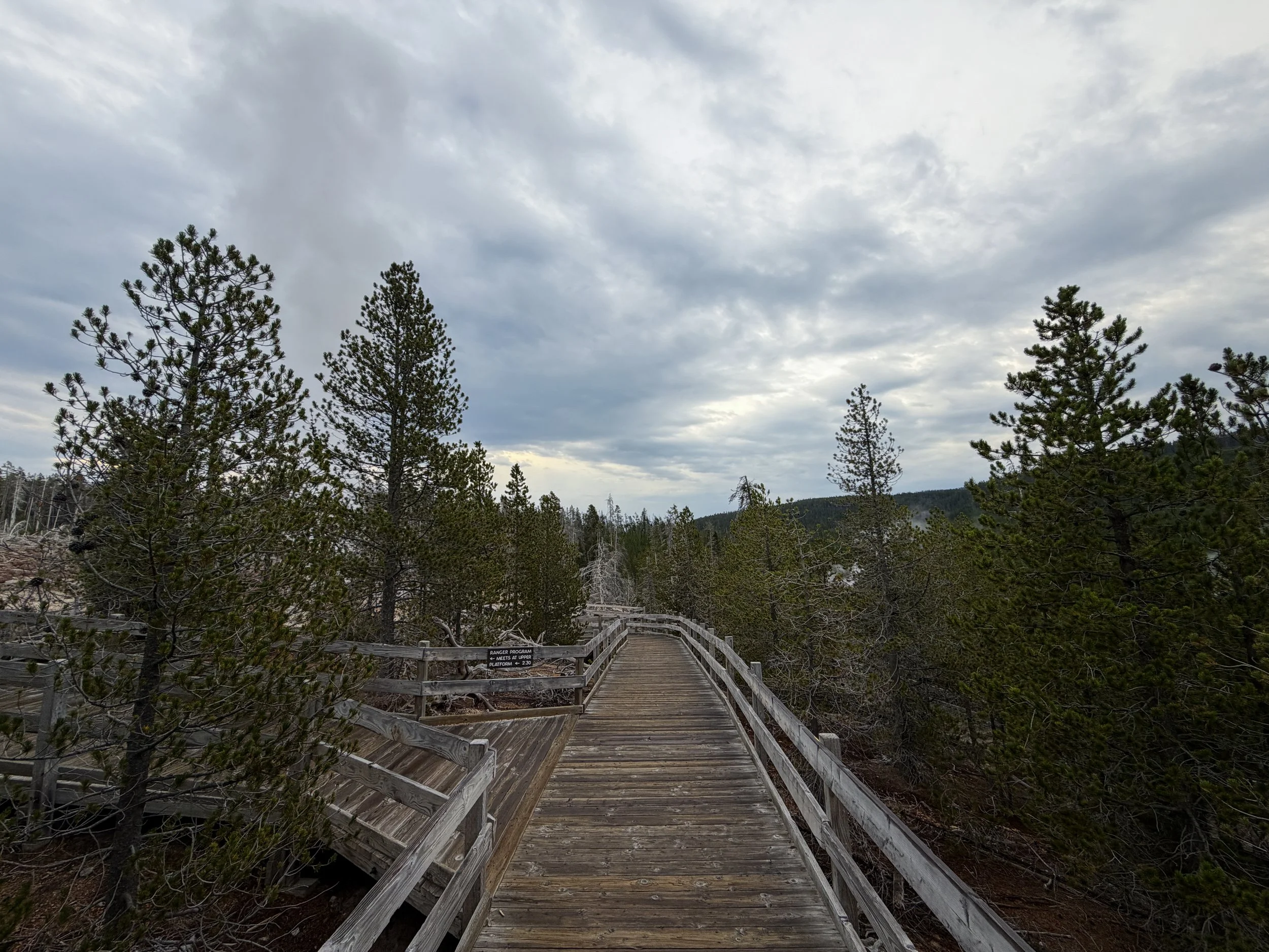 Norris Geyser Basin Trail Yellowstone National Park Wyoming