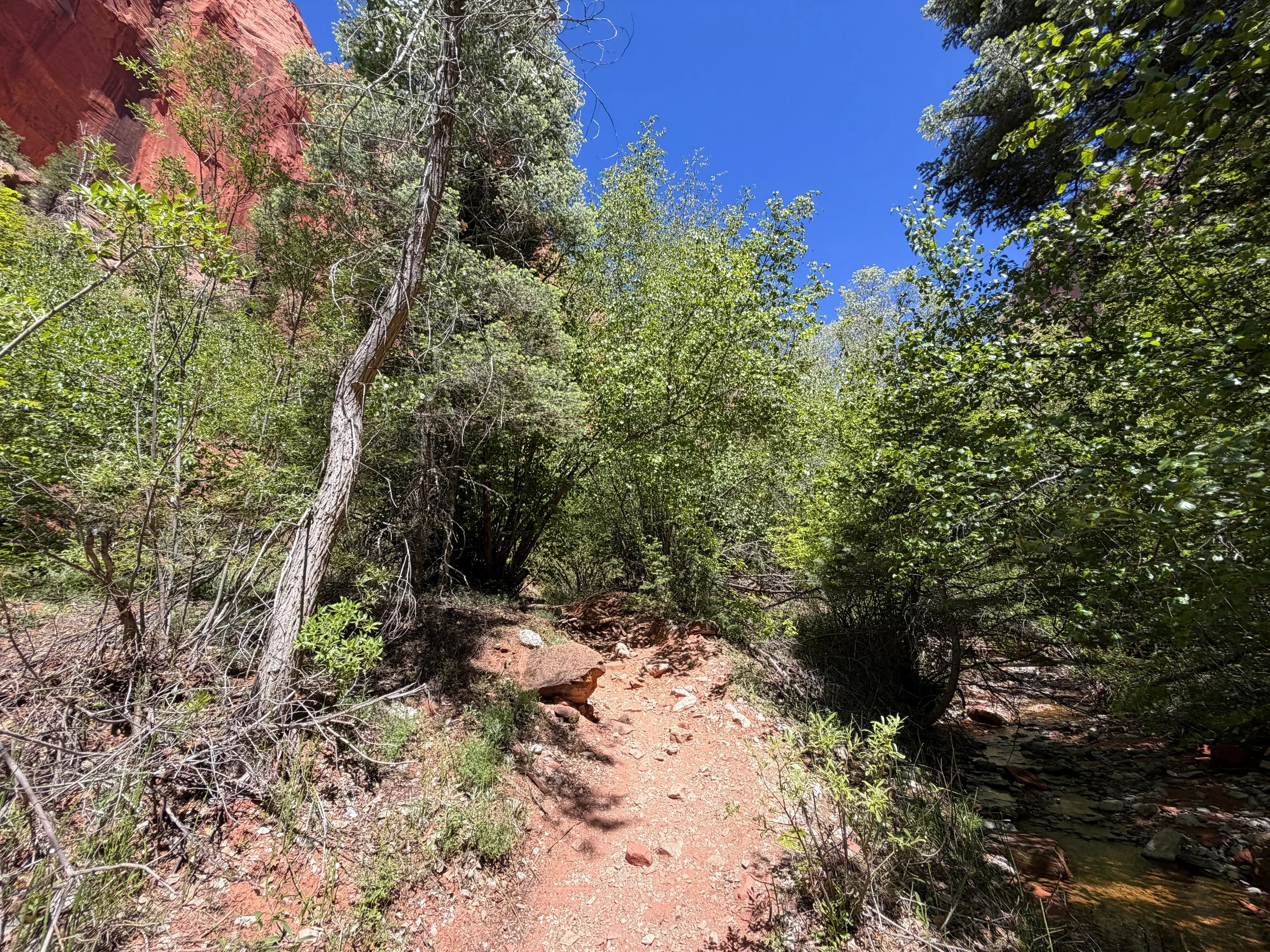Taylor Creek Trail Zion National Park Utah