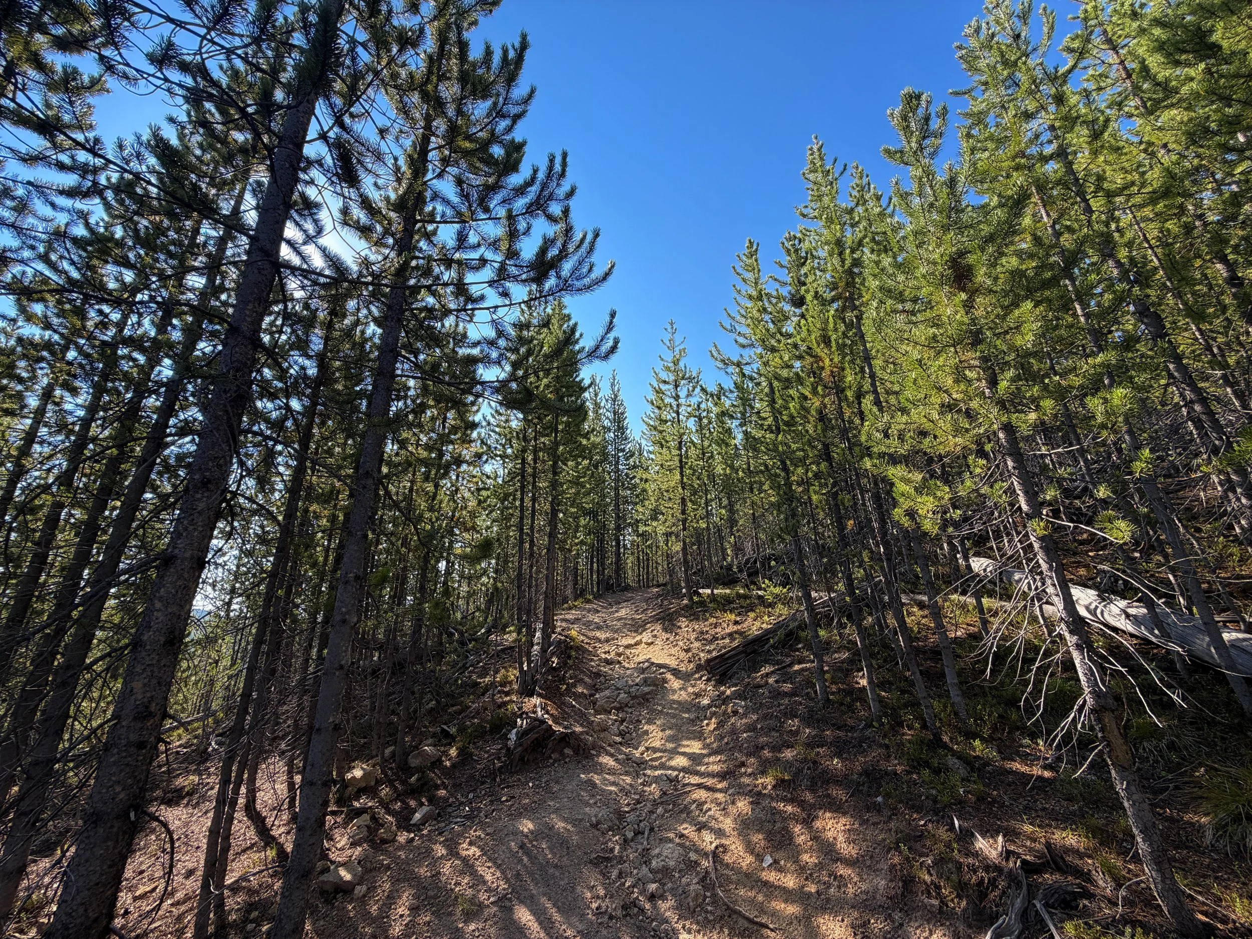 Monument Geyser Basin Trail Yellowstone National Park Wyoming