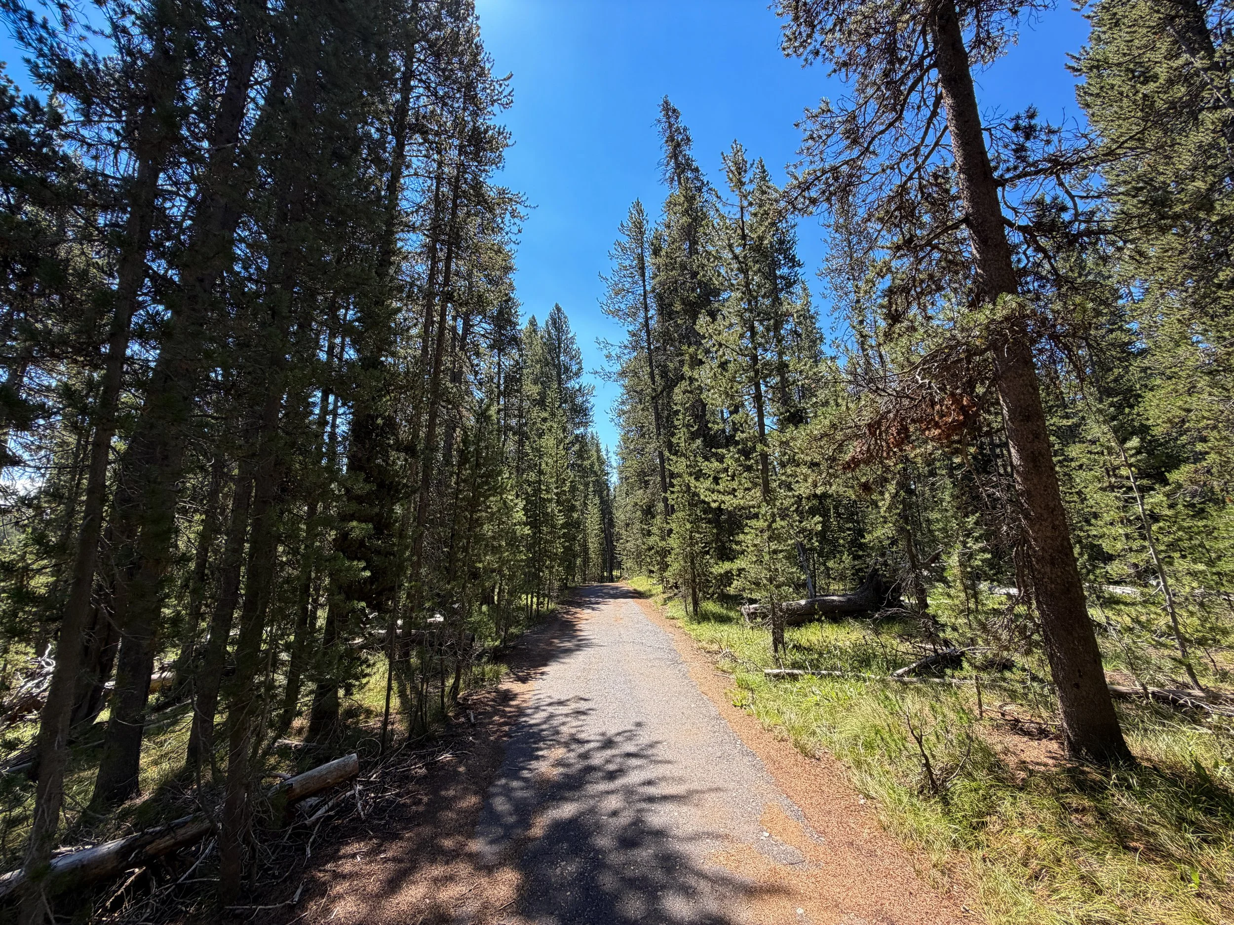 Lone Star Trail Yellowstone National Park Wyoming