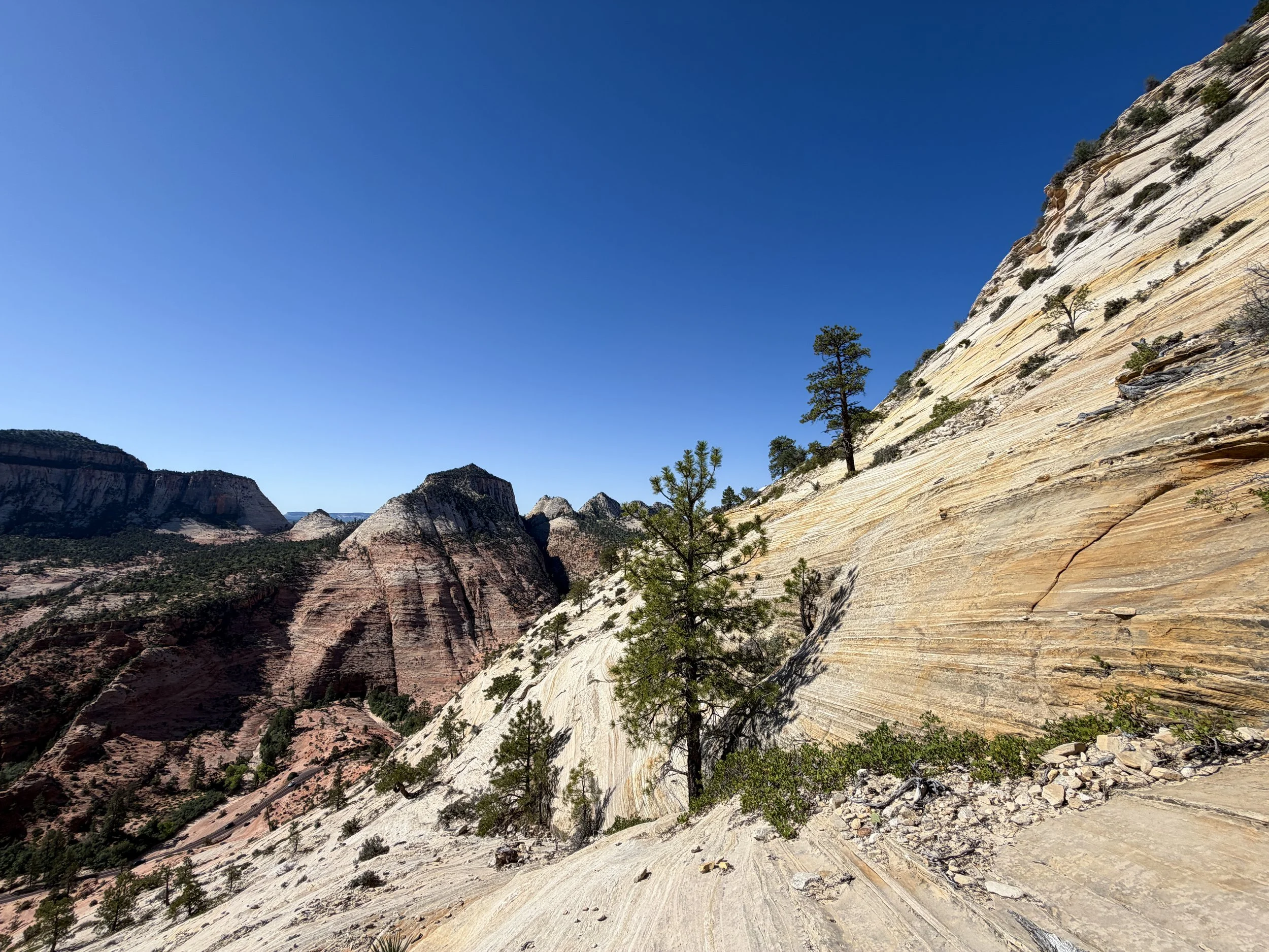 South Ariel Peak Trail Zion National Park Utah