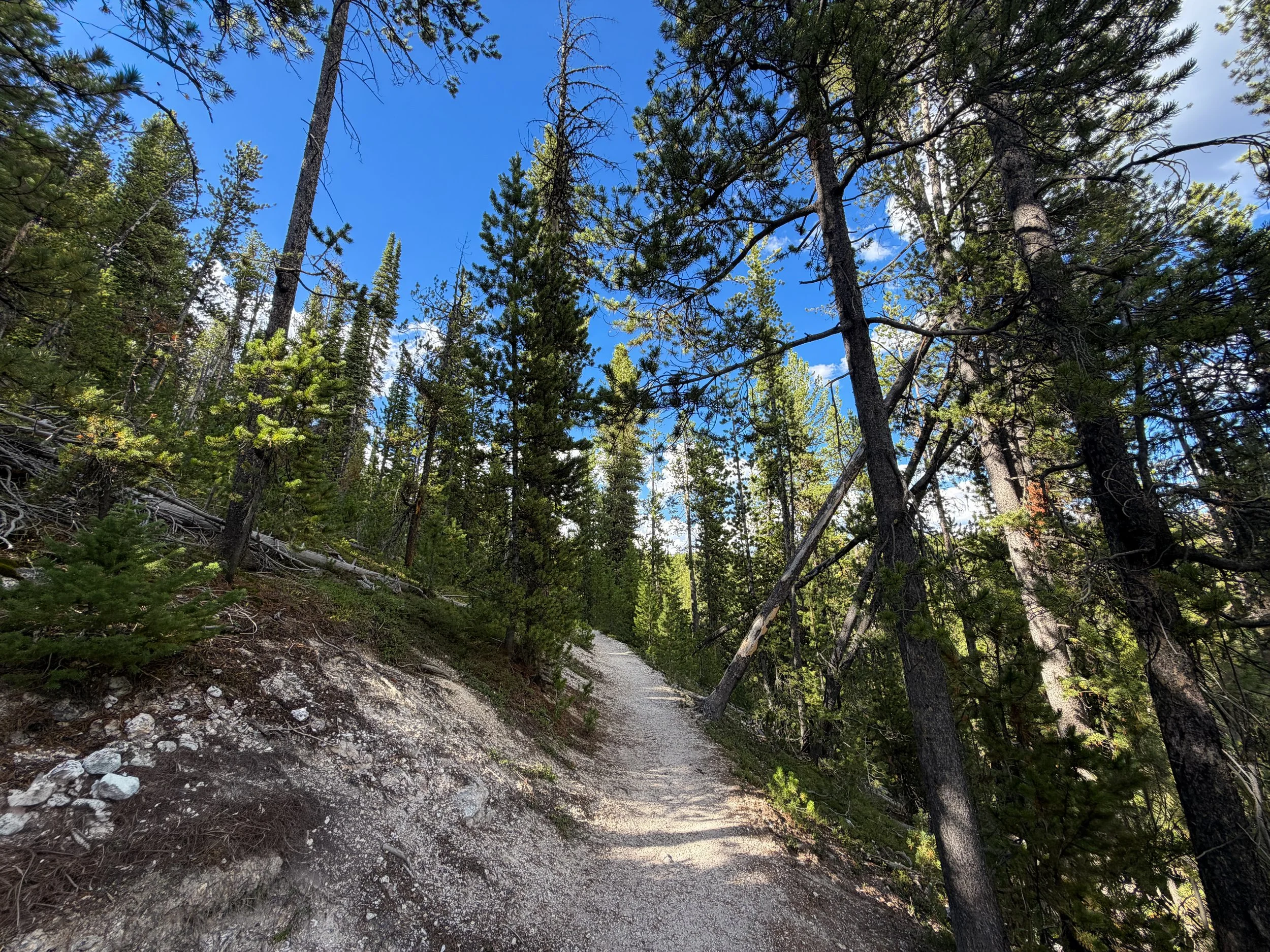 North Rim Trail Yellowstone National Park Wyoming