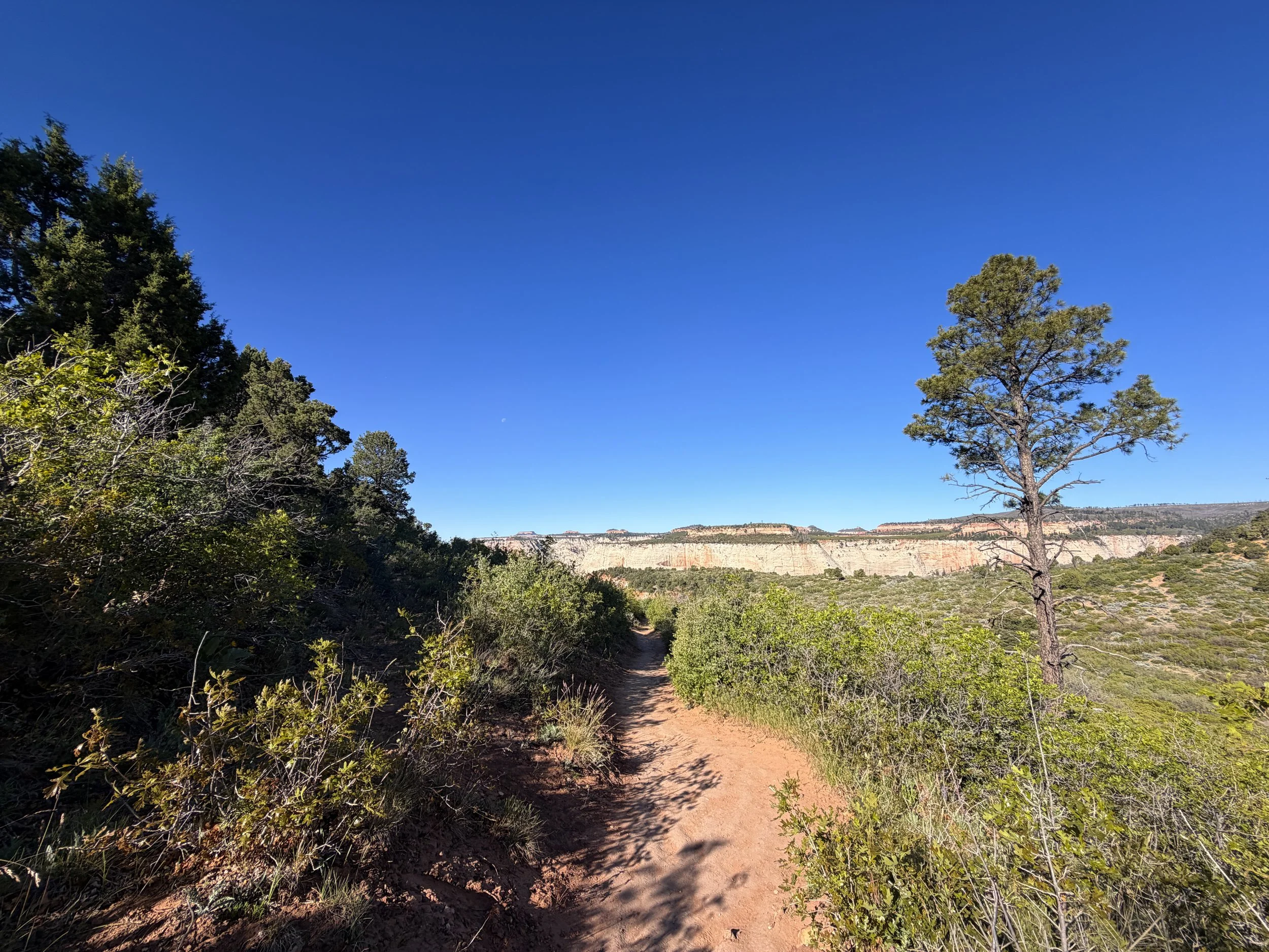 East Mesa Trail to Observation Point Trail Zion National Park Utah