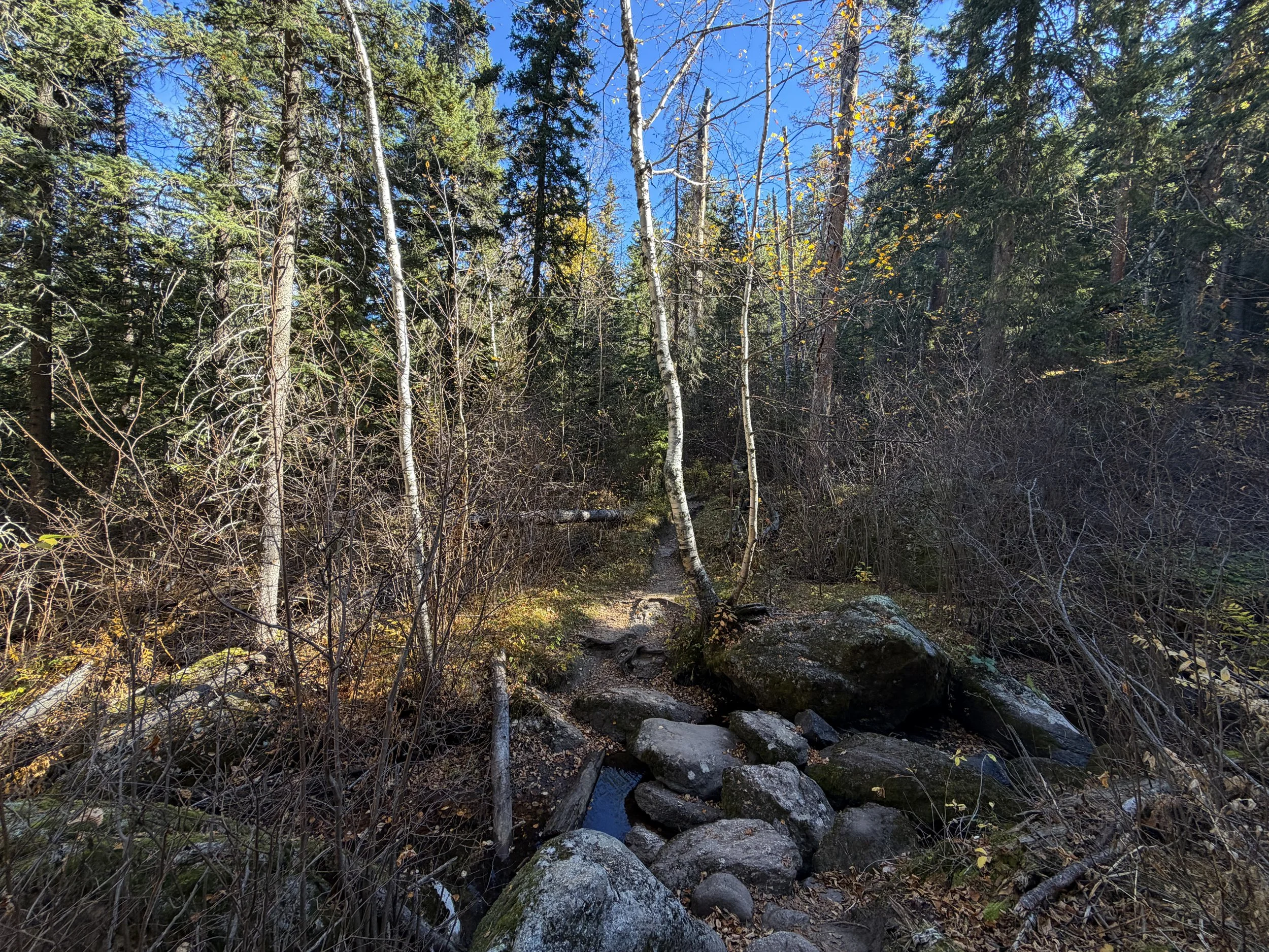 Sunday Gulch Hike Custer State Park Black Hills South Dakota