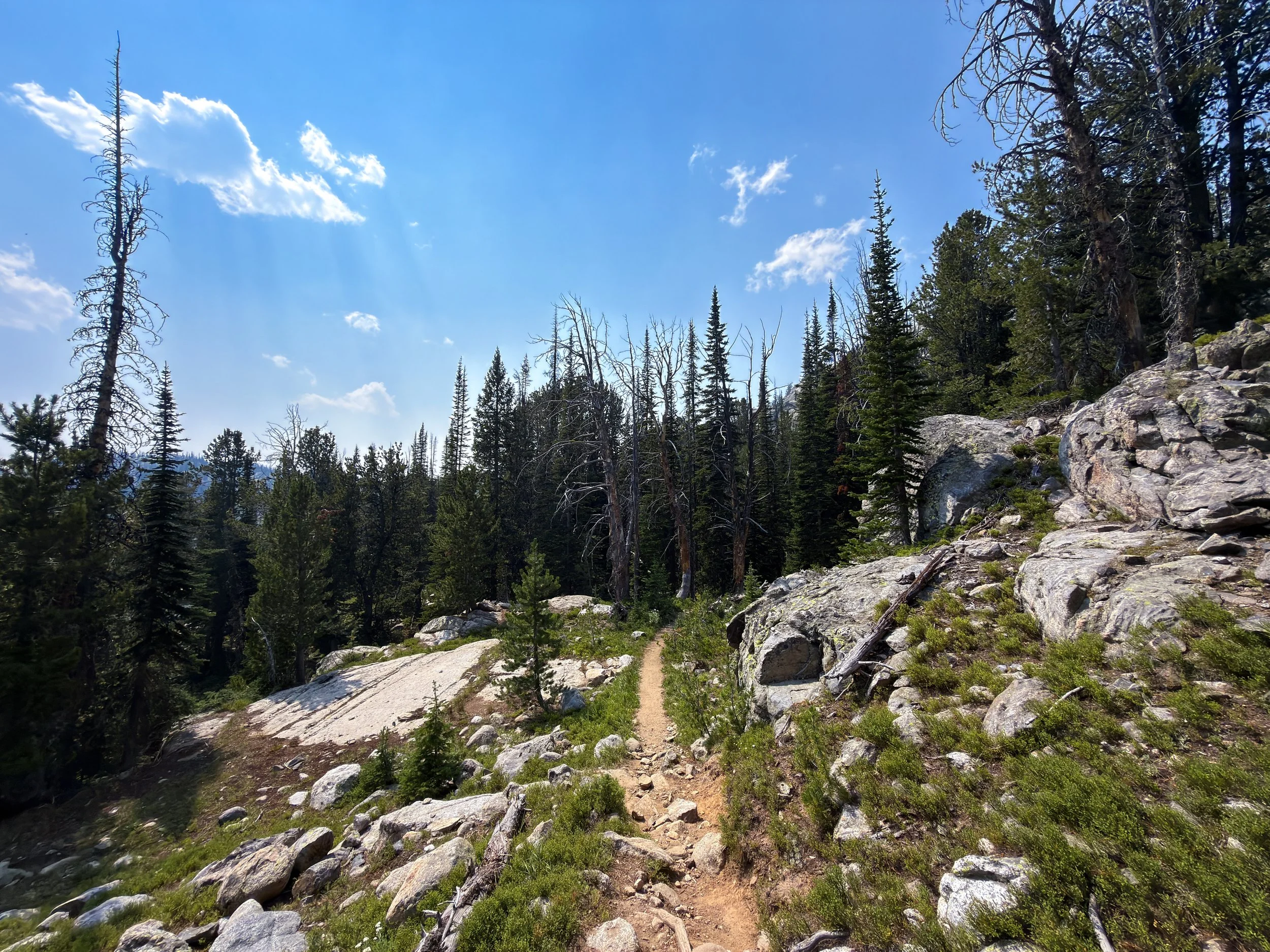Russell Creek Trail The Beaten Path Beartooth Mountains Montana