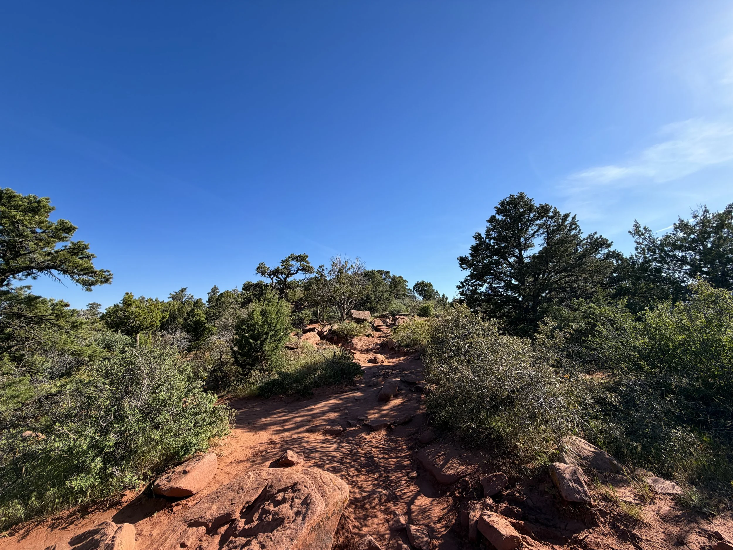 Timber Creek Overlook Trail Zion National Park Utah