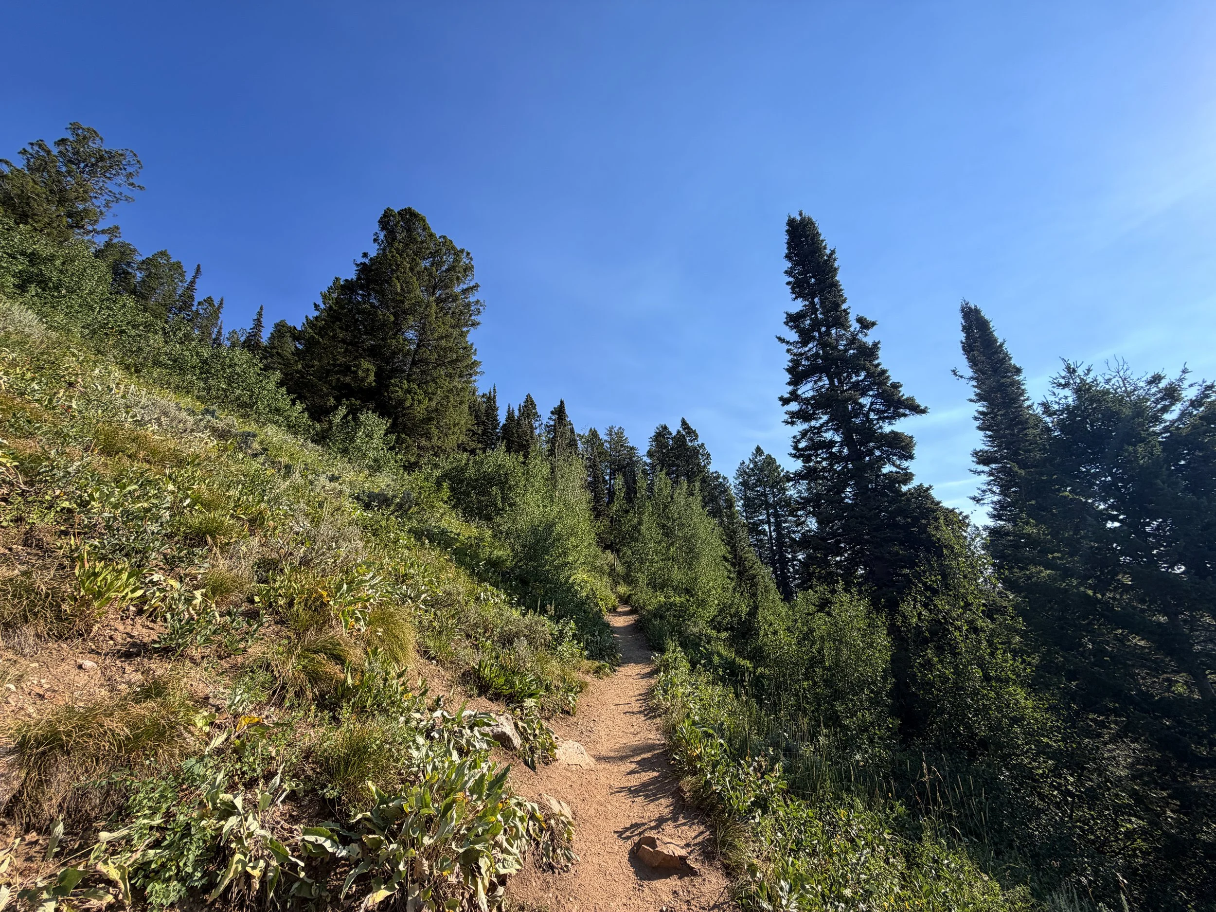 Delta Lake Hike Switchbacks Grand Teton National Park Wyoming